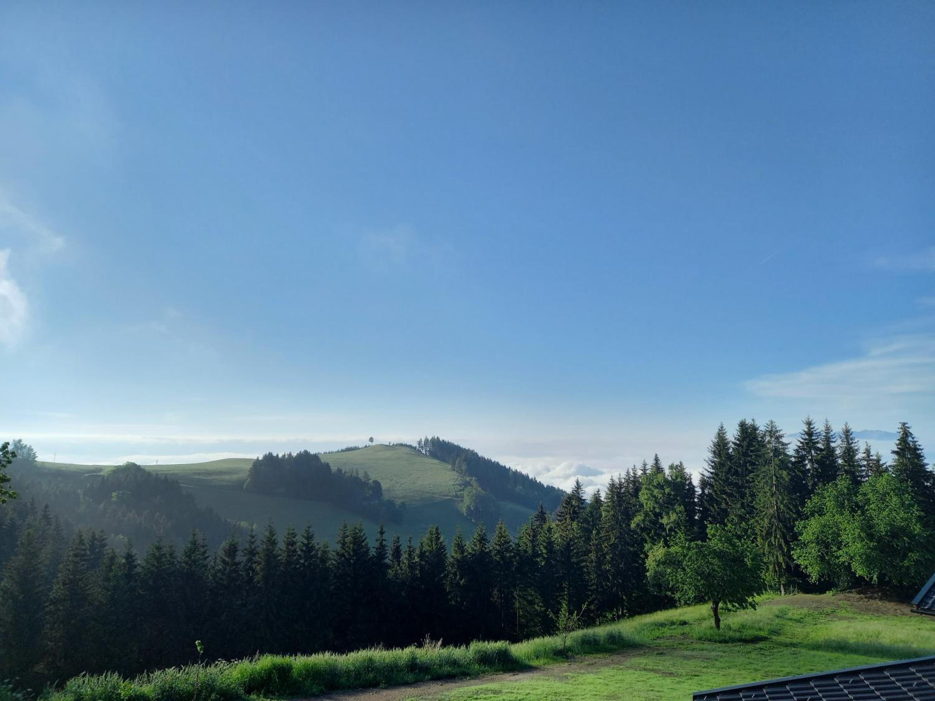 Almchalet Schuster
