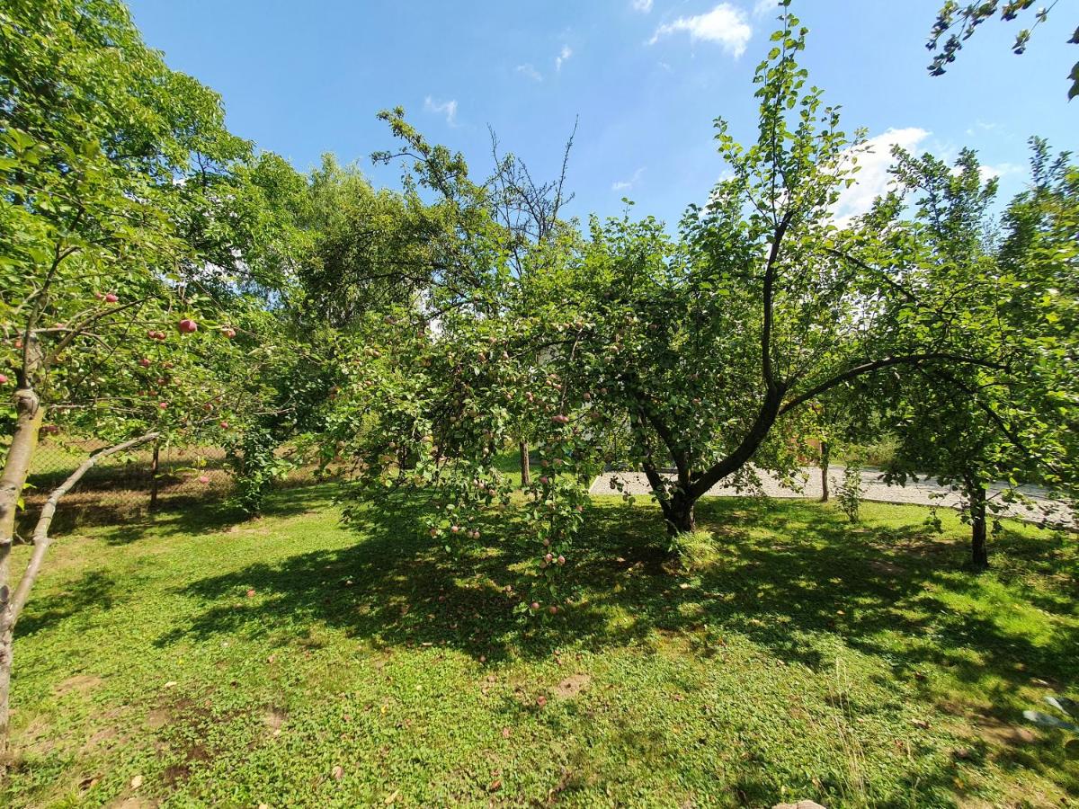 Tetmajera View & Garden view 4