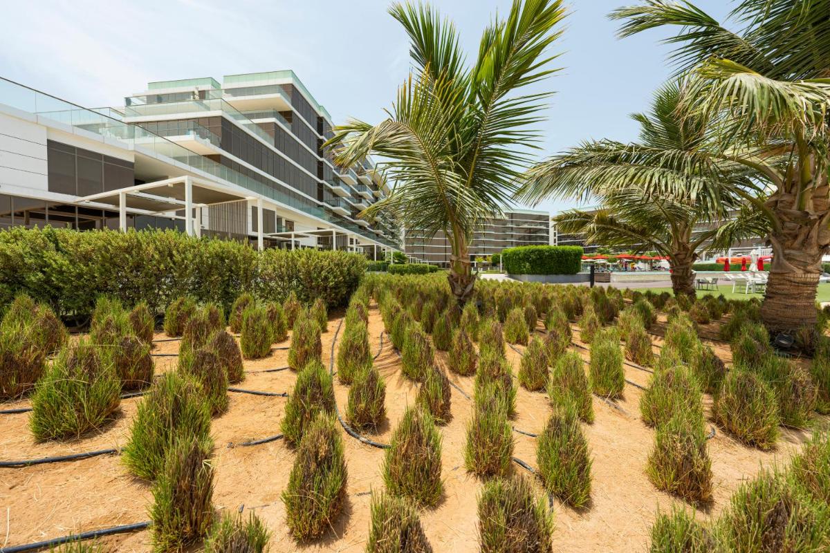 Cozy beachfront 1 bedroom apartment - The 8
