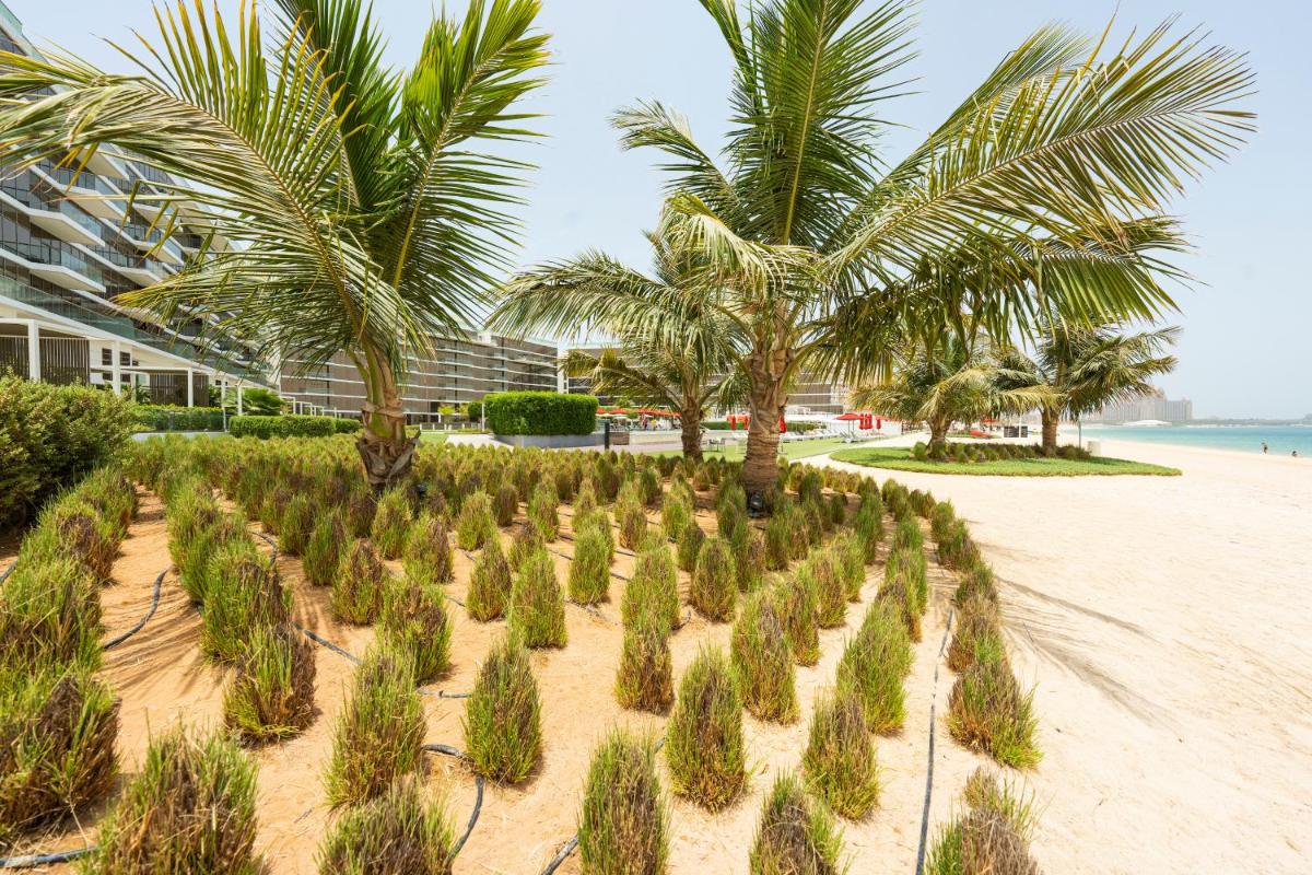 Cozy beachfront 1 bedroom apartment - The 8