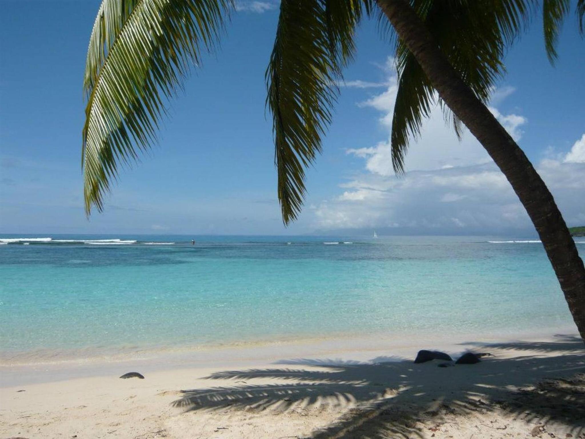 Alizes Bungalows Sarl - Location Bungalow Cerise 1 view 4