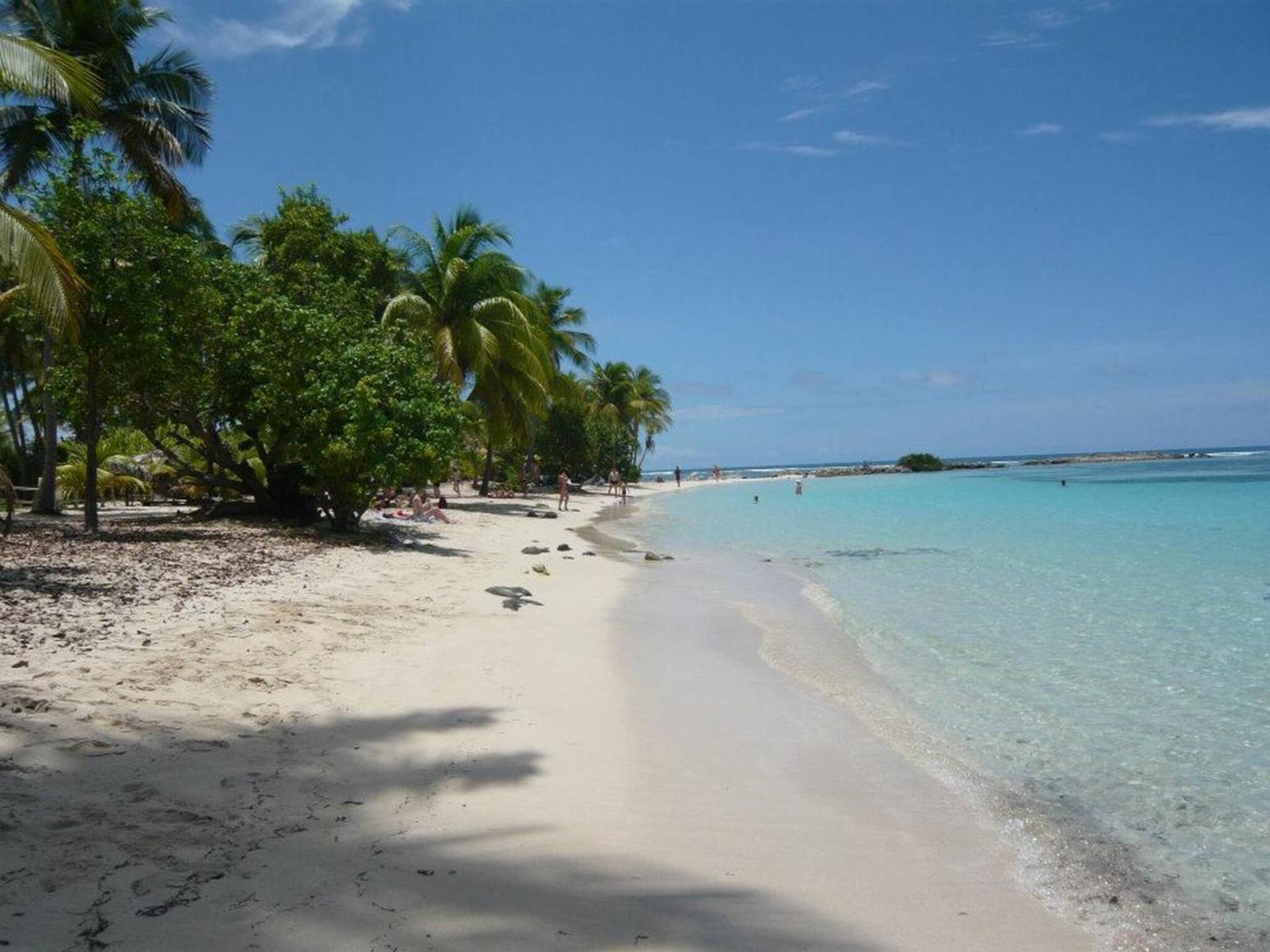 Alizes Bungalows Sarl - Location Bungalow Cerise 1 view 5