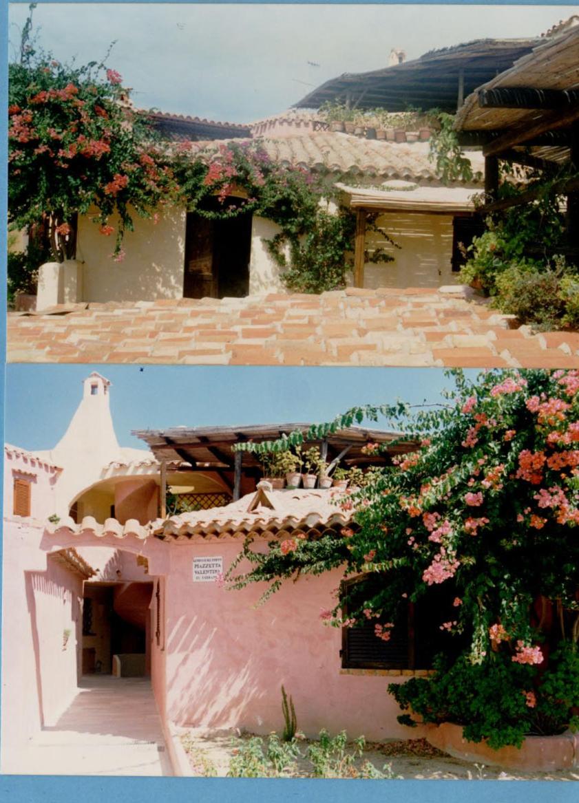 IMPERDIBILE OCCASIONE NEL CUORE di PORTO CERVO view 2