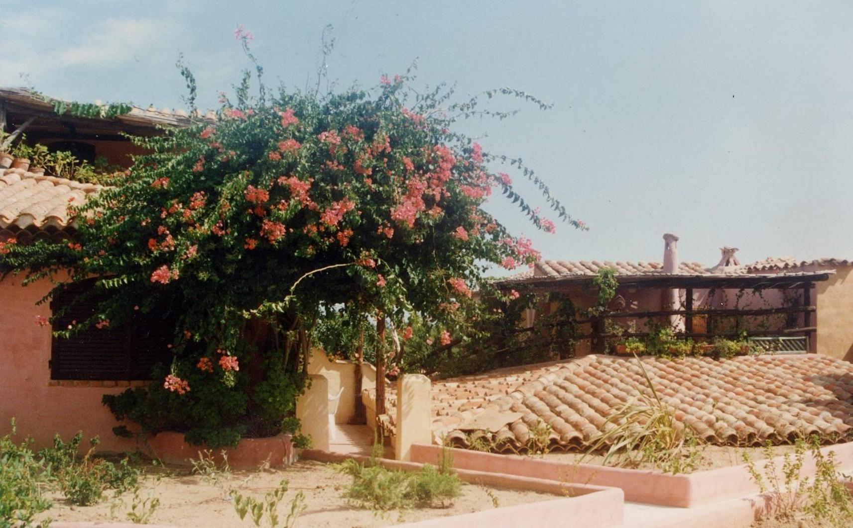 IMPERDIBILE OCCASIONE NEL CUORE di PORTO CERVO view 3