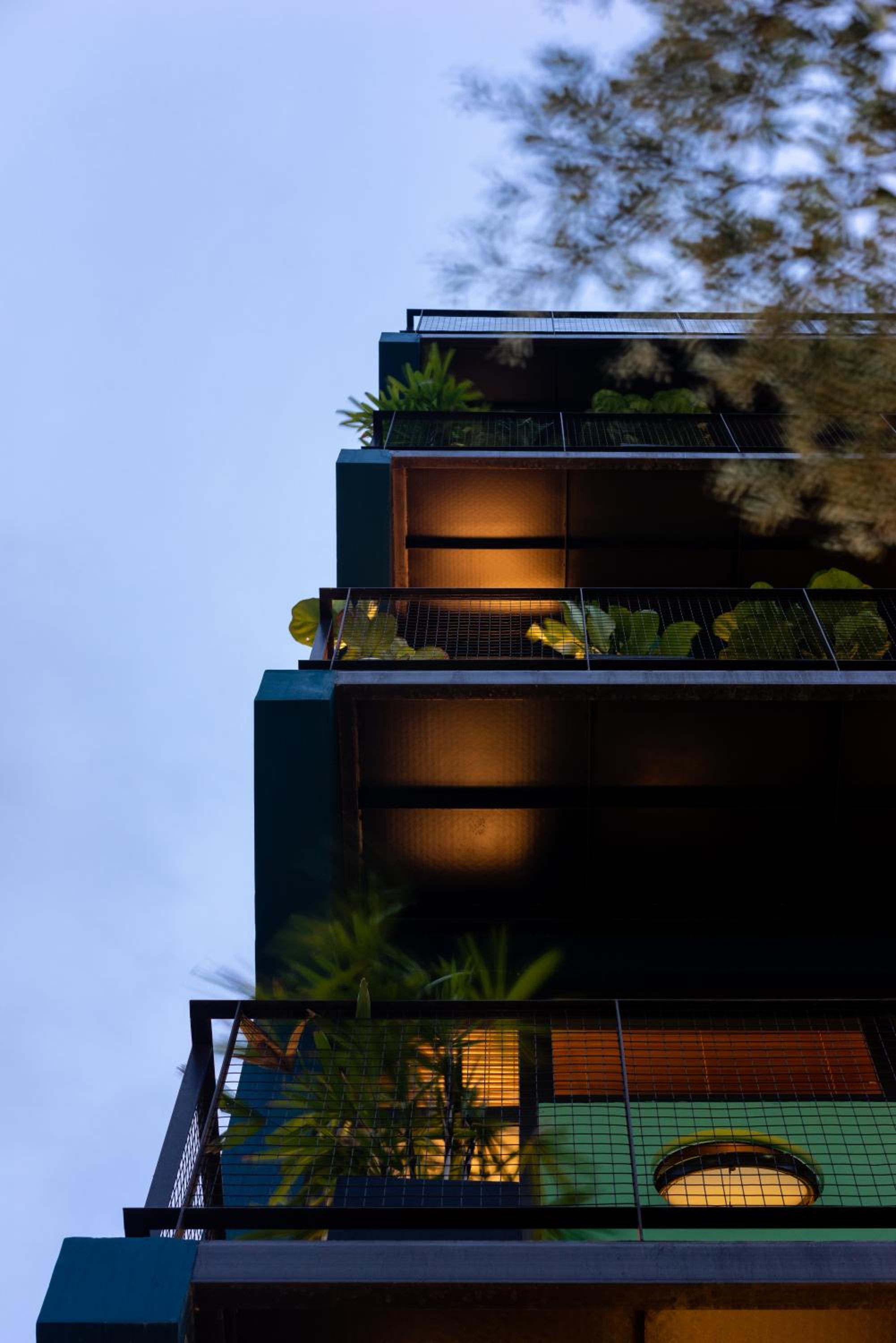 Arista 2