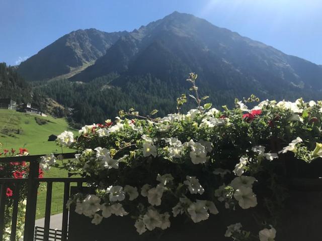 APART GRIES view 5