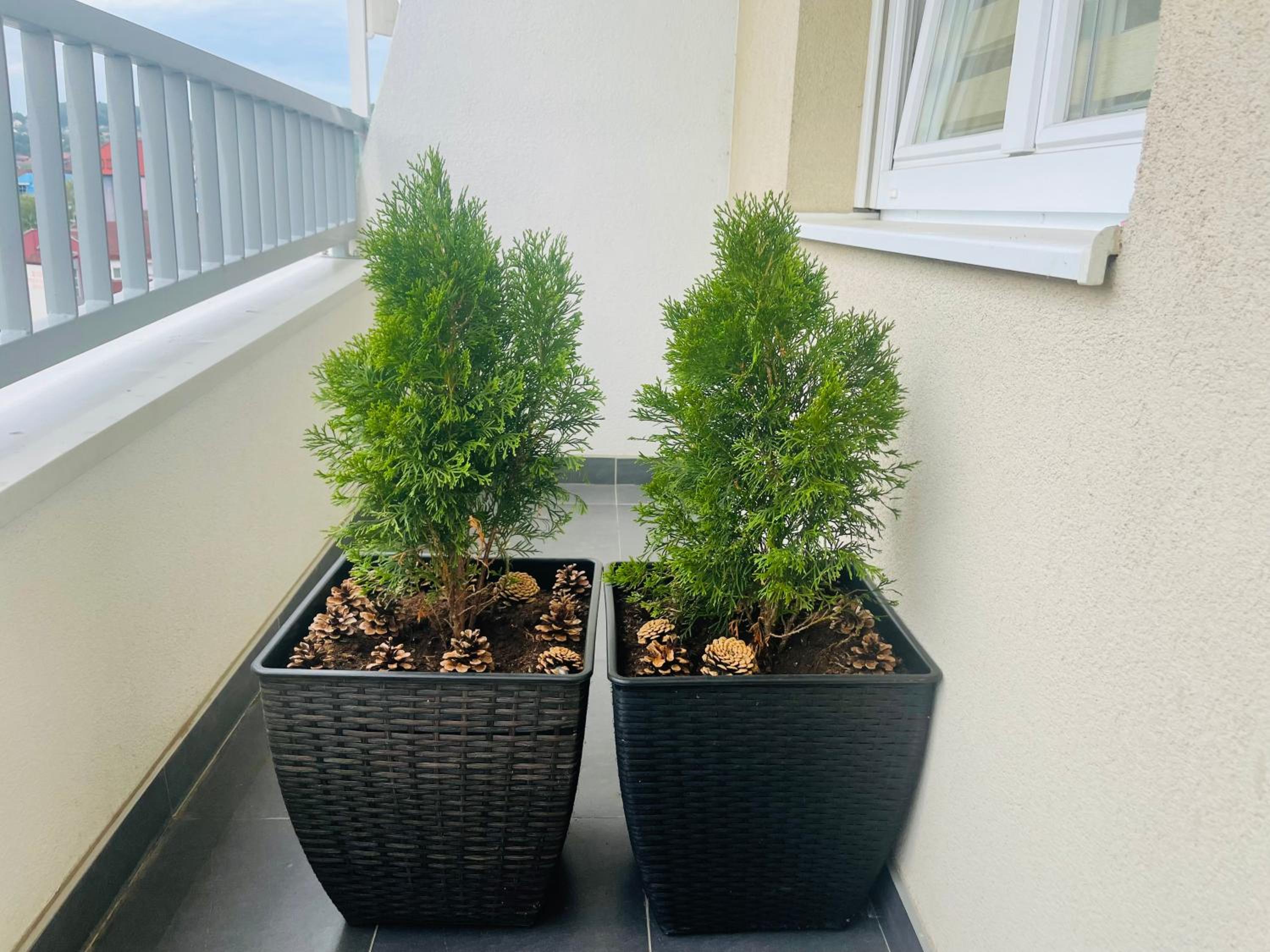 Photo 29