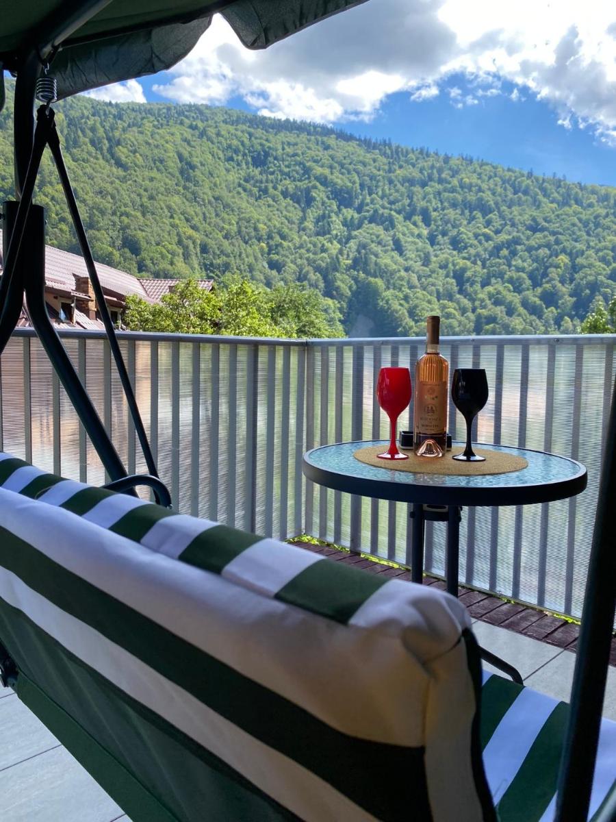 Magic Belleview Sinaia view 4