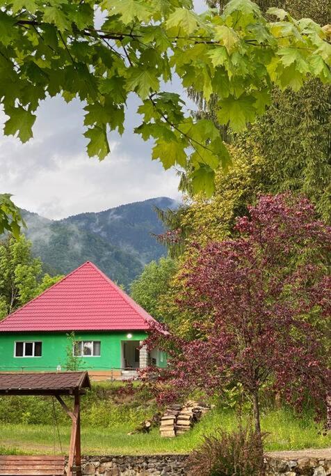 The Green House - Apuseni Mountains view 4