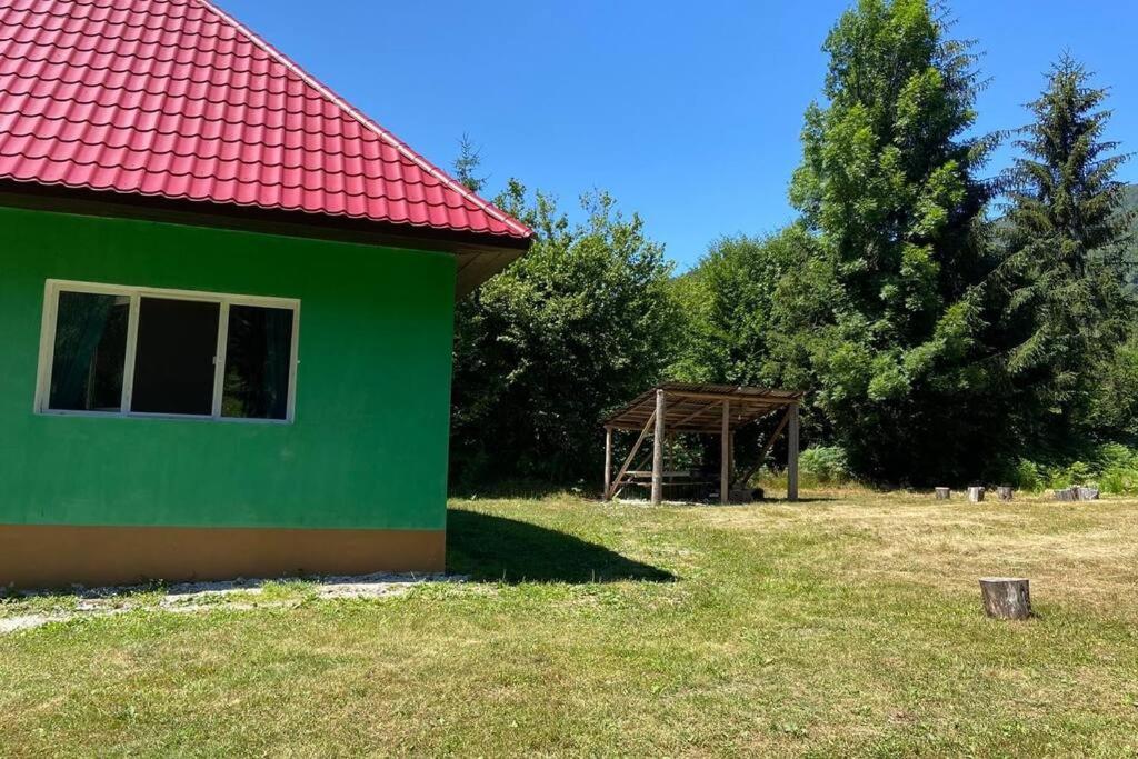 The Green House - Apuseni Mountains view 5