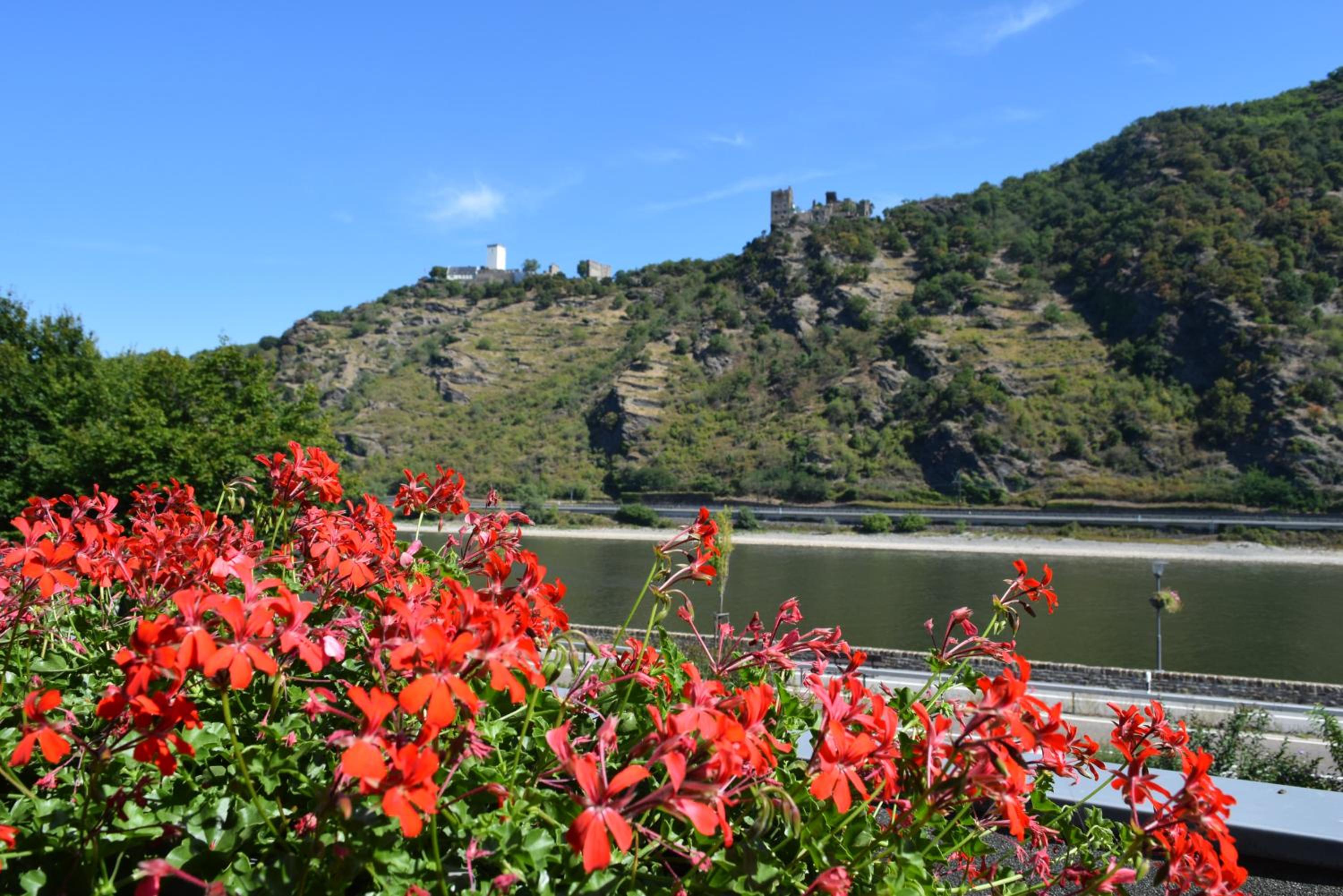 Perle am Rhein