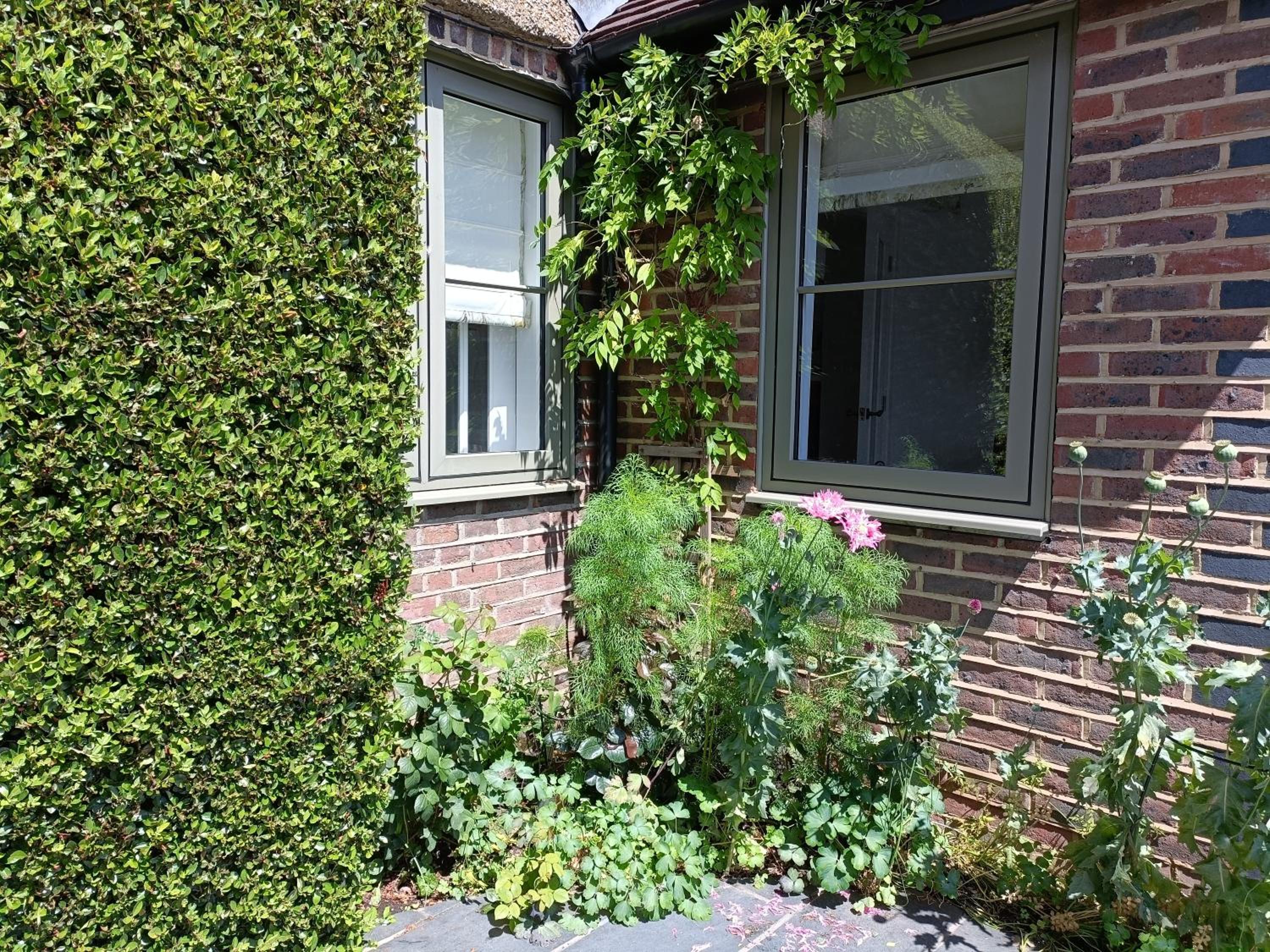 Photo 44