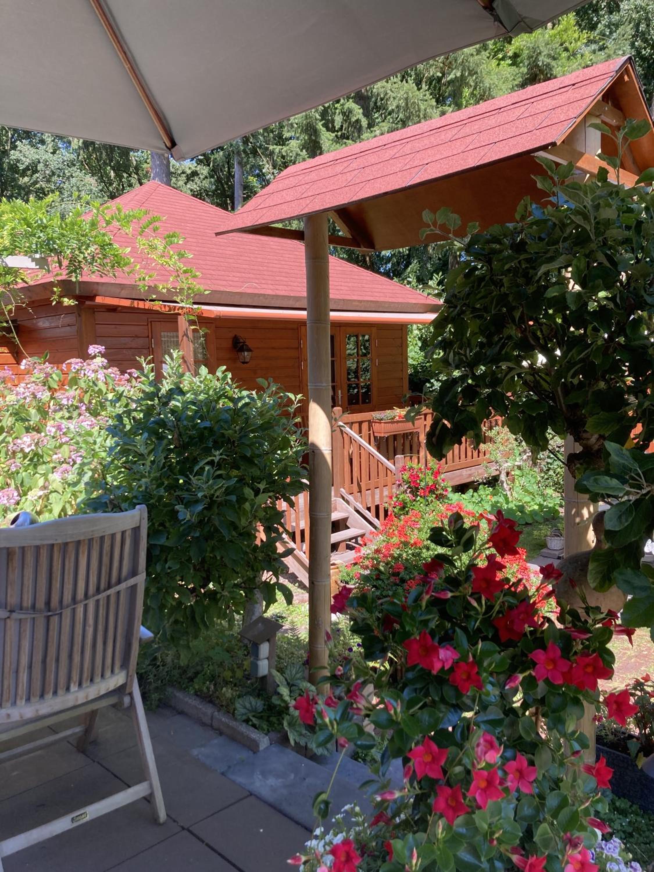 B&B Porcini view 4