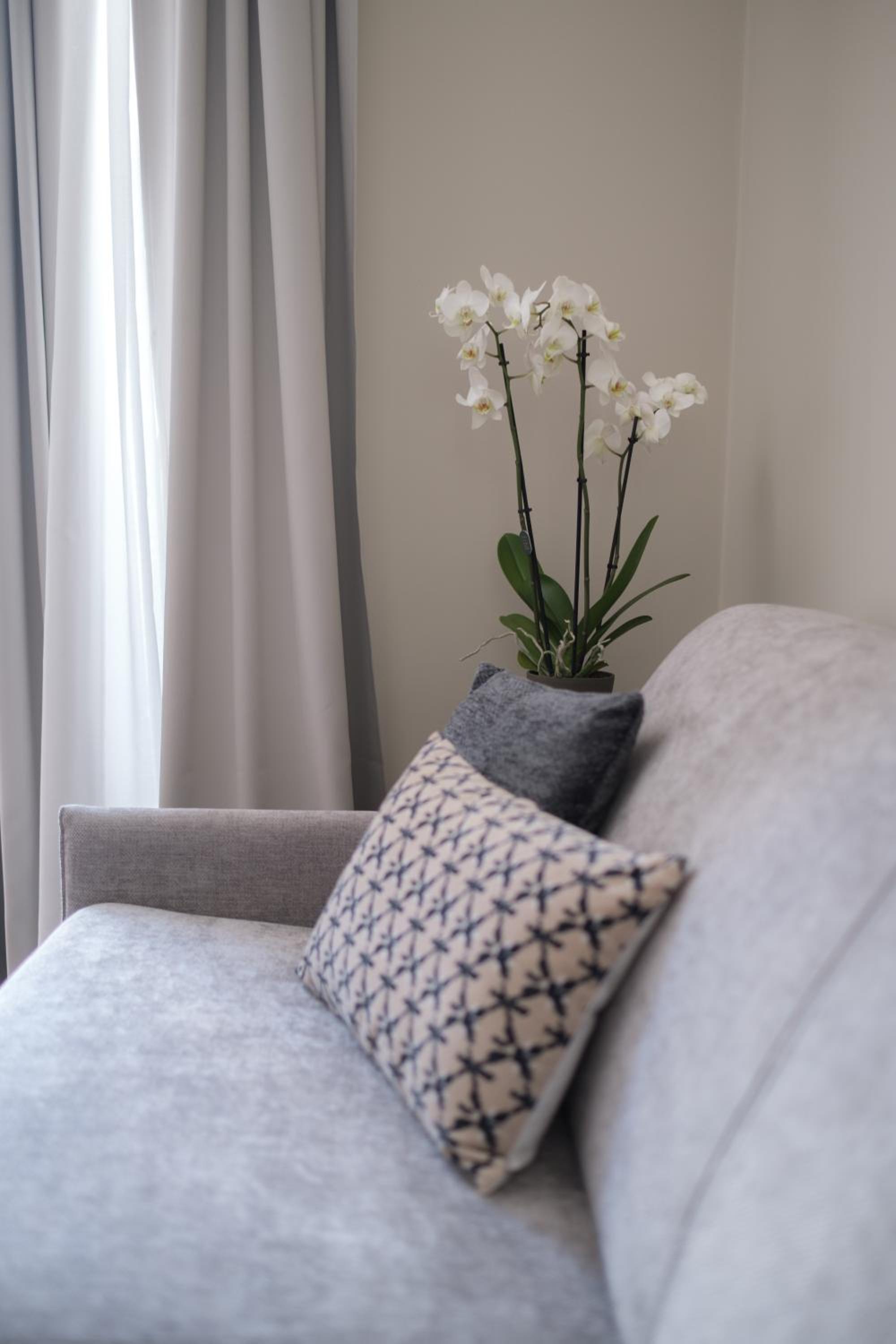 PALAZZO DANISI ROOMS&SUITES - Image 5