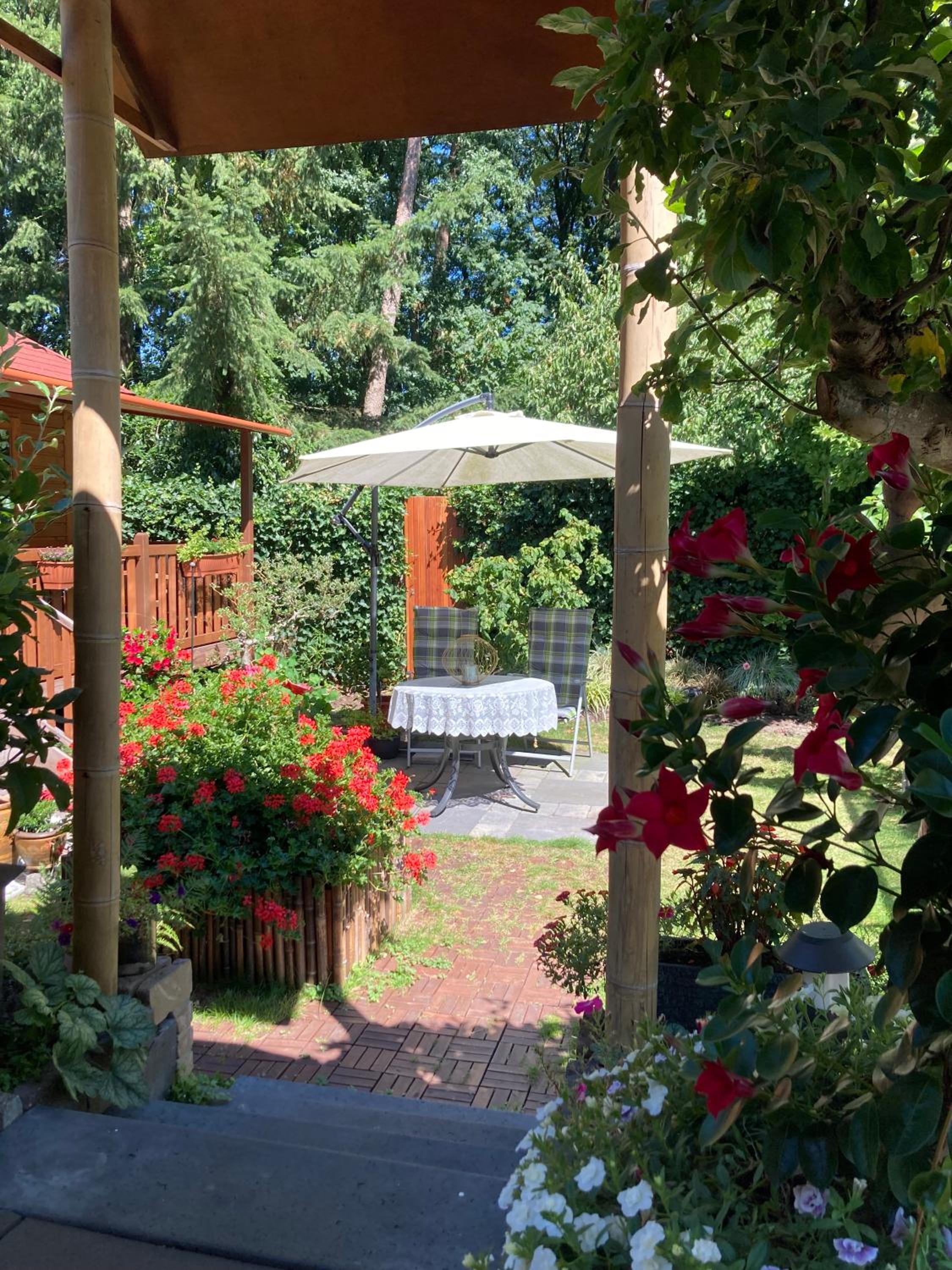 B&B Porcini view 5