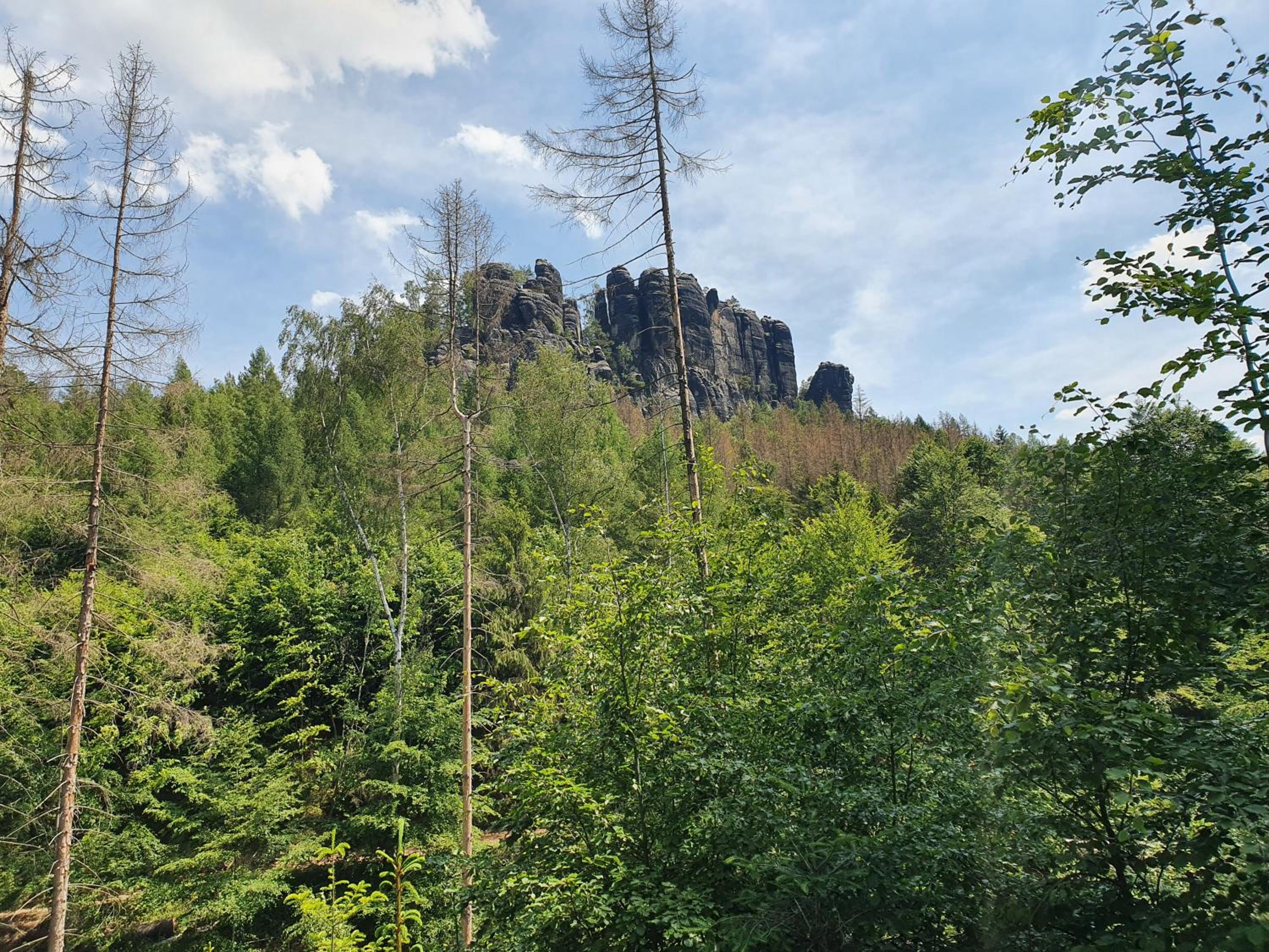 Fewo-hierundjetzt Lichtenhain bei Sebnitz am Malerweg