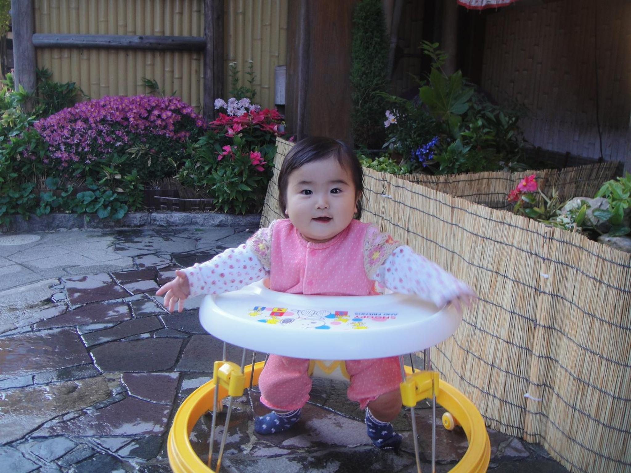 Photo 283