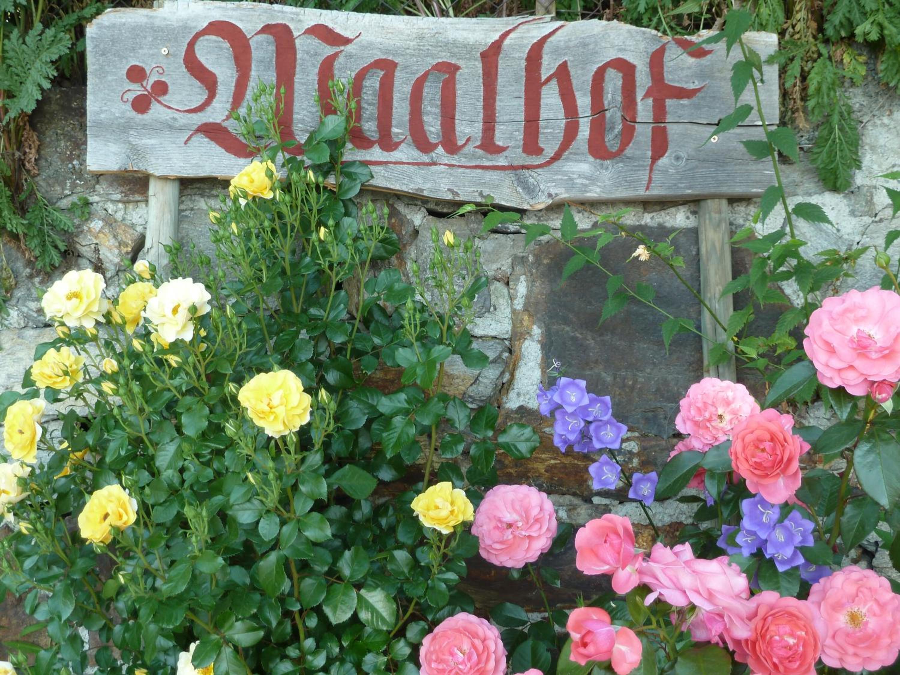 Waalhof Ferienwohnung Apfelblüte