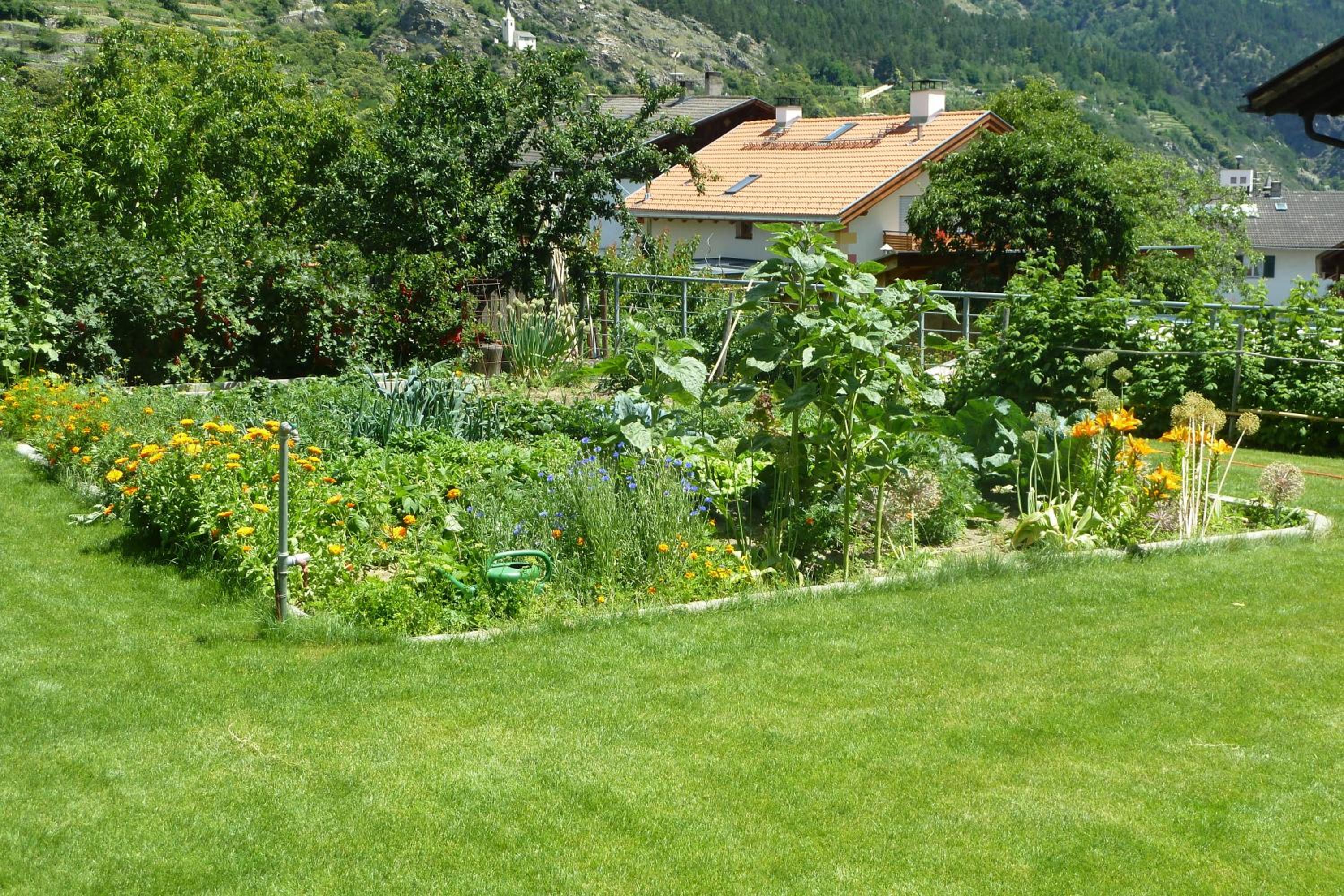 Waalhof Ferienwohnung Apfelblüte