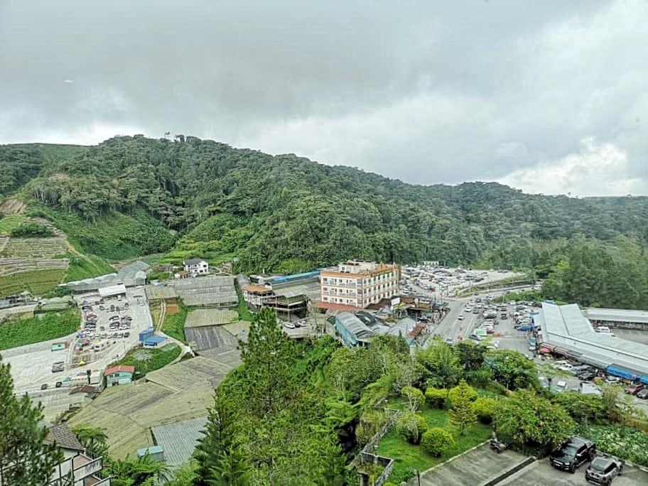 Luxury 3 bedroom Homestay at Kea Farm