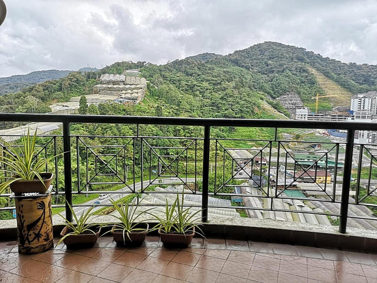 Luxury 3 bedroom Homestay at Kea Farm
