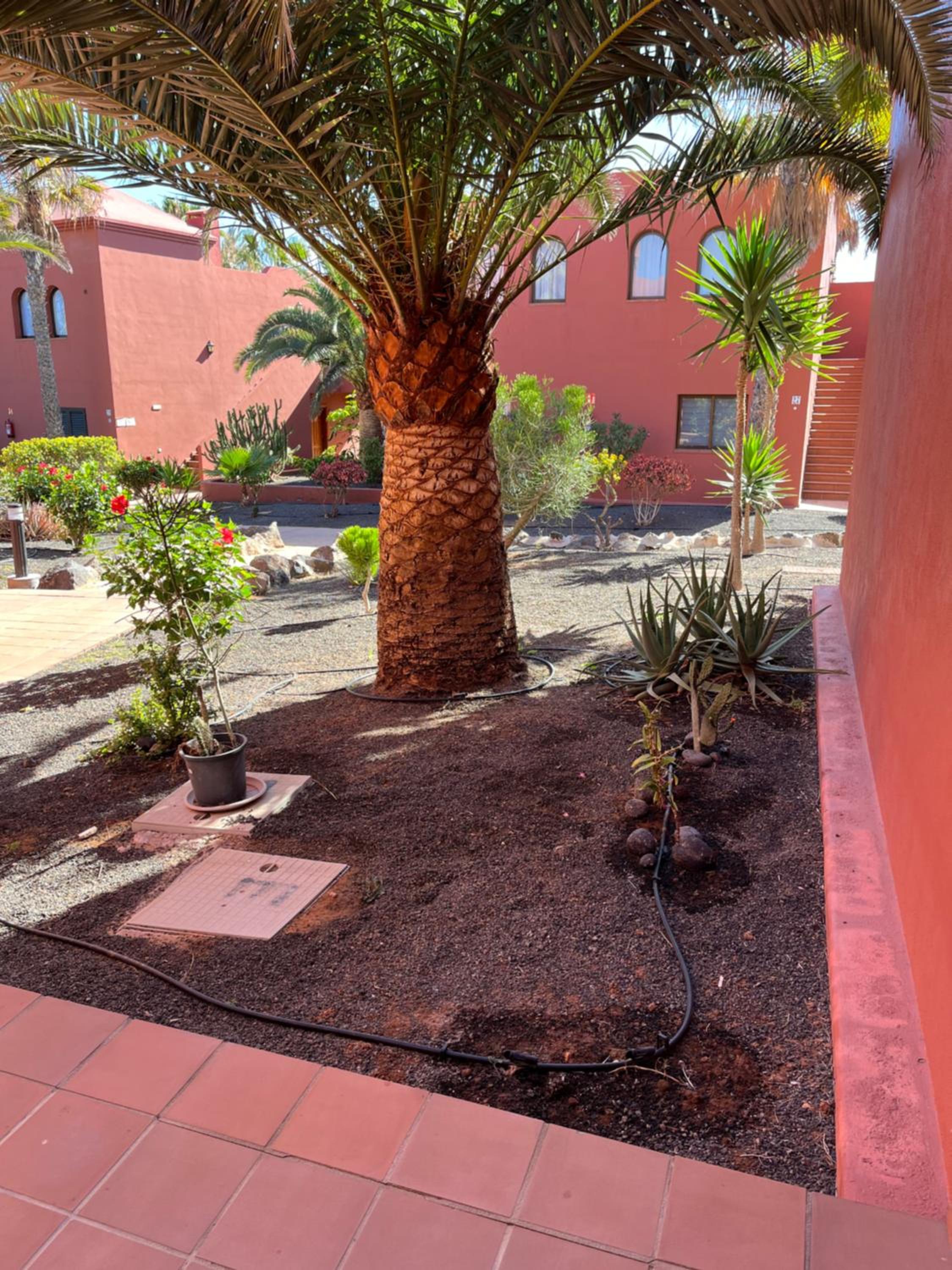 Casa Mimi Oasis Tamarindo