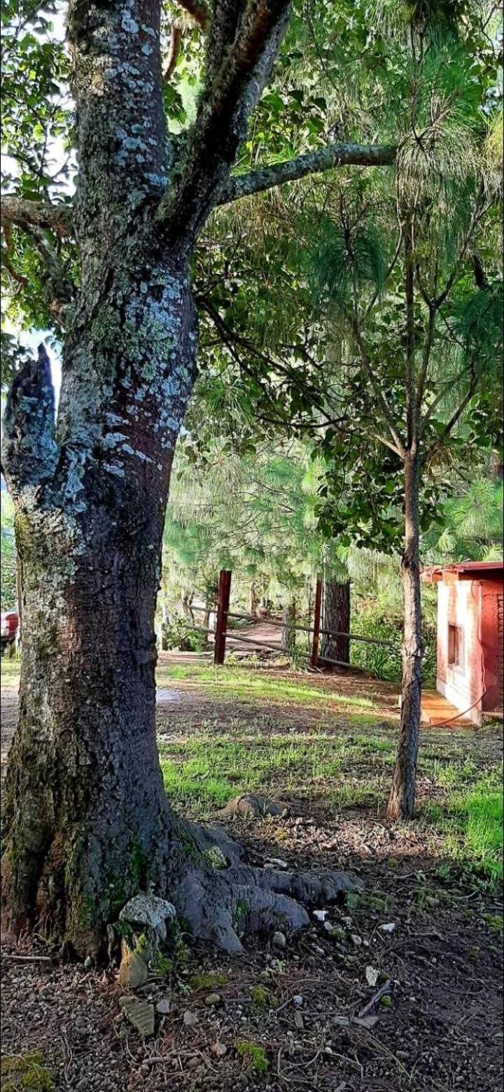 Cabaña La Vía Láctea view 5