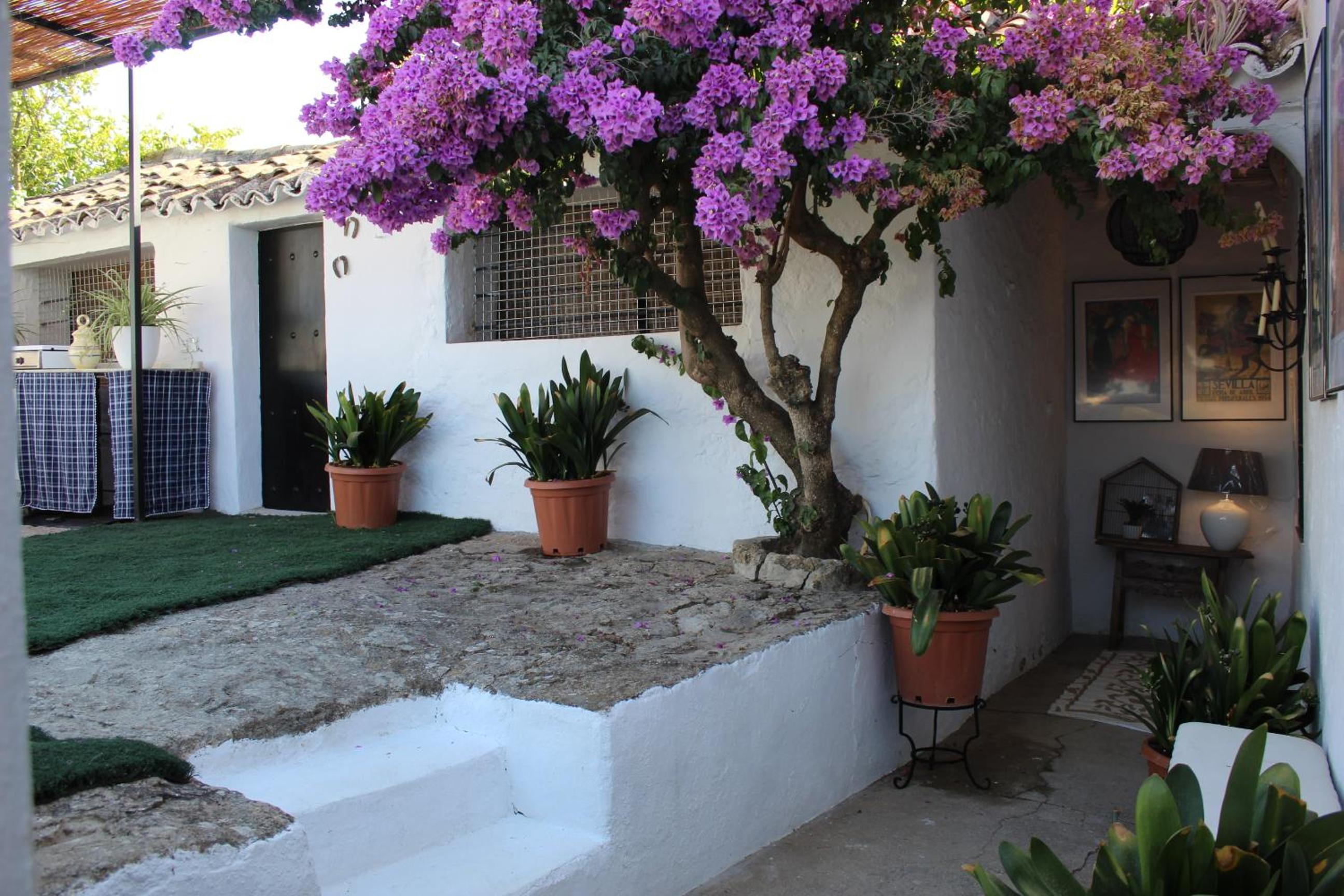 Casa Rural Faltriquera Setenil