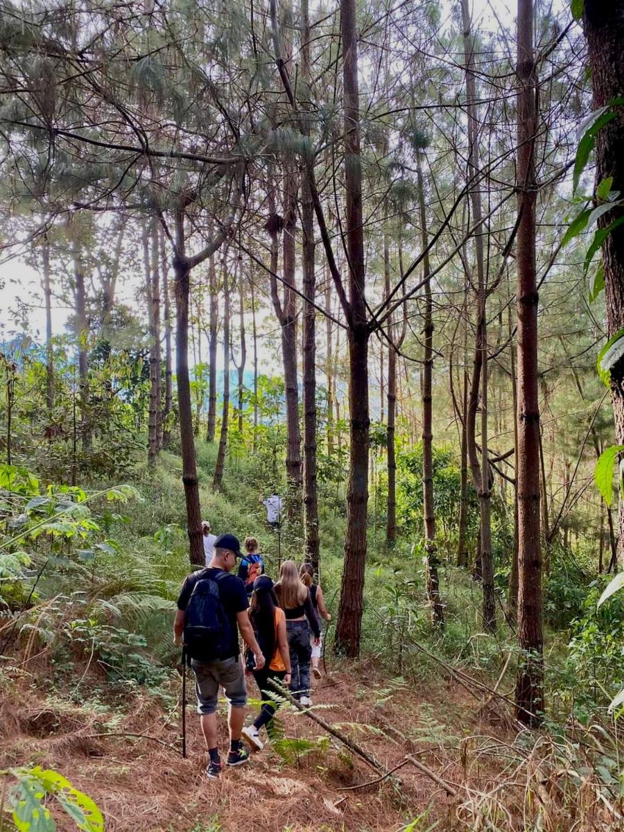 Hass Glamping Jericó view 5