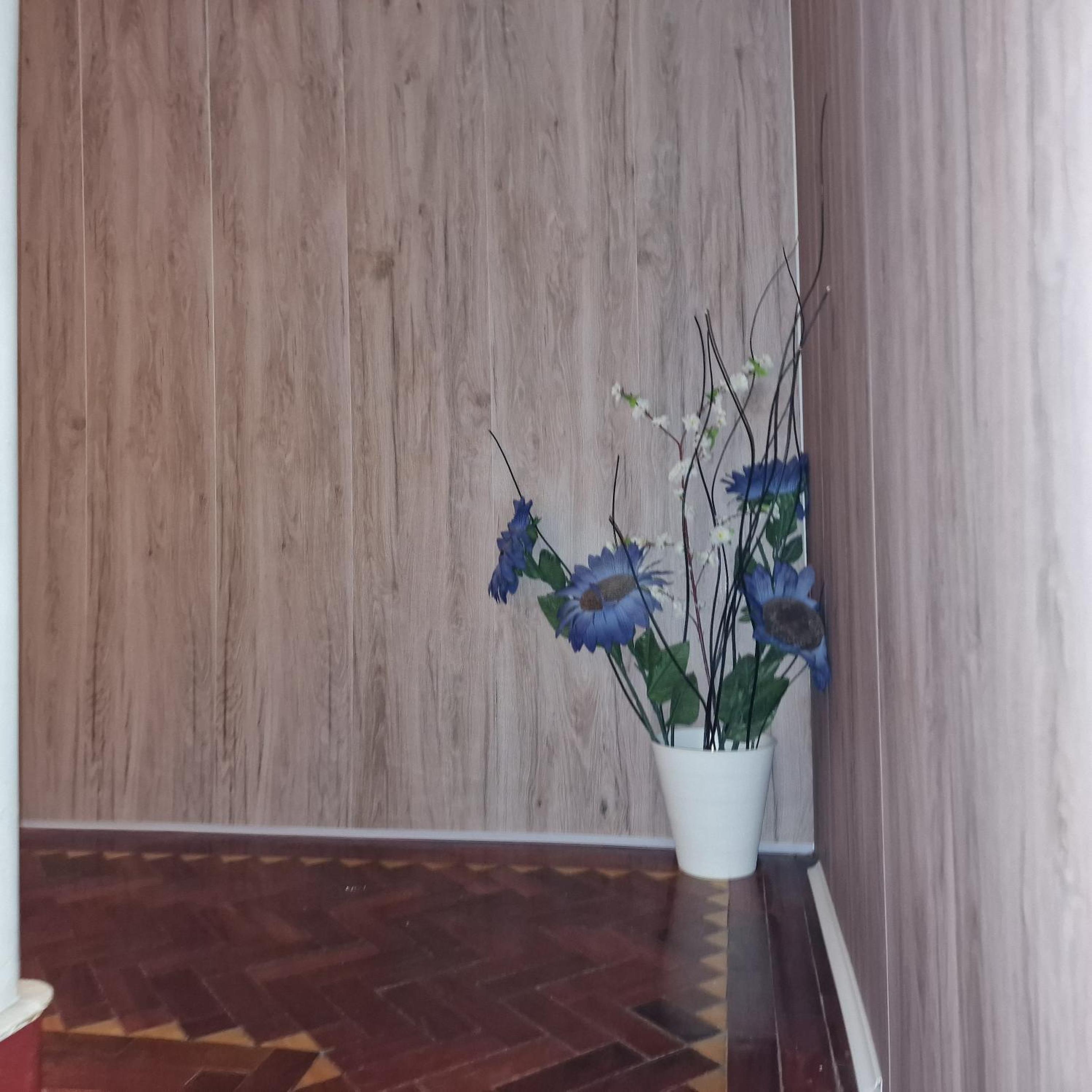 Photo 31