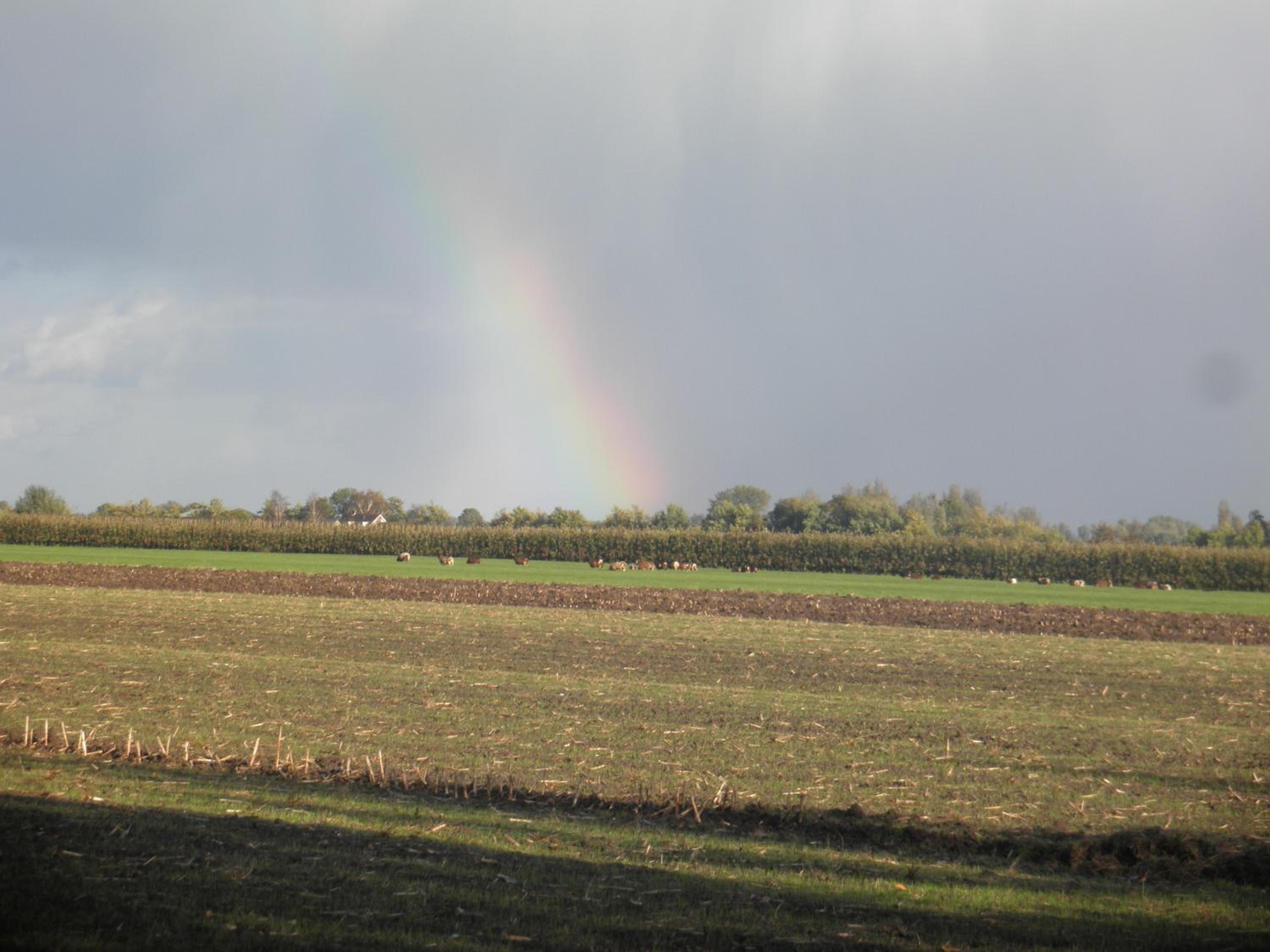 Boerderij de Zalm view 5