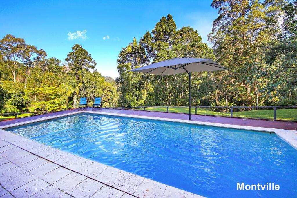Addison's Montville