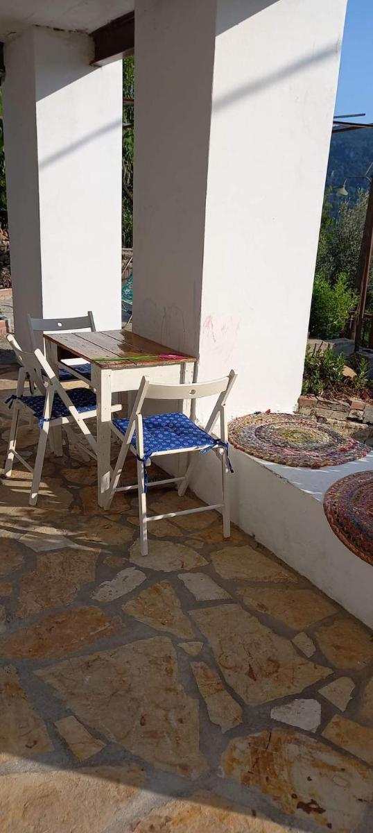 Norina's House photo 3