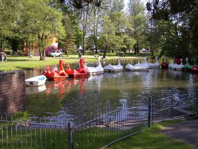 Photo 31