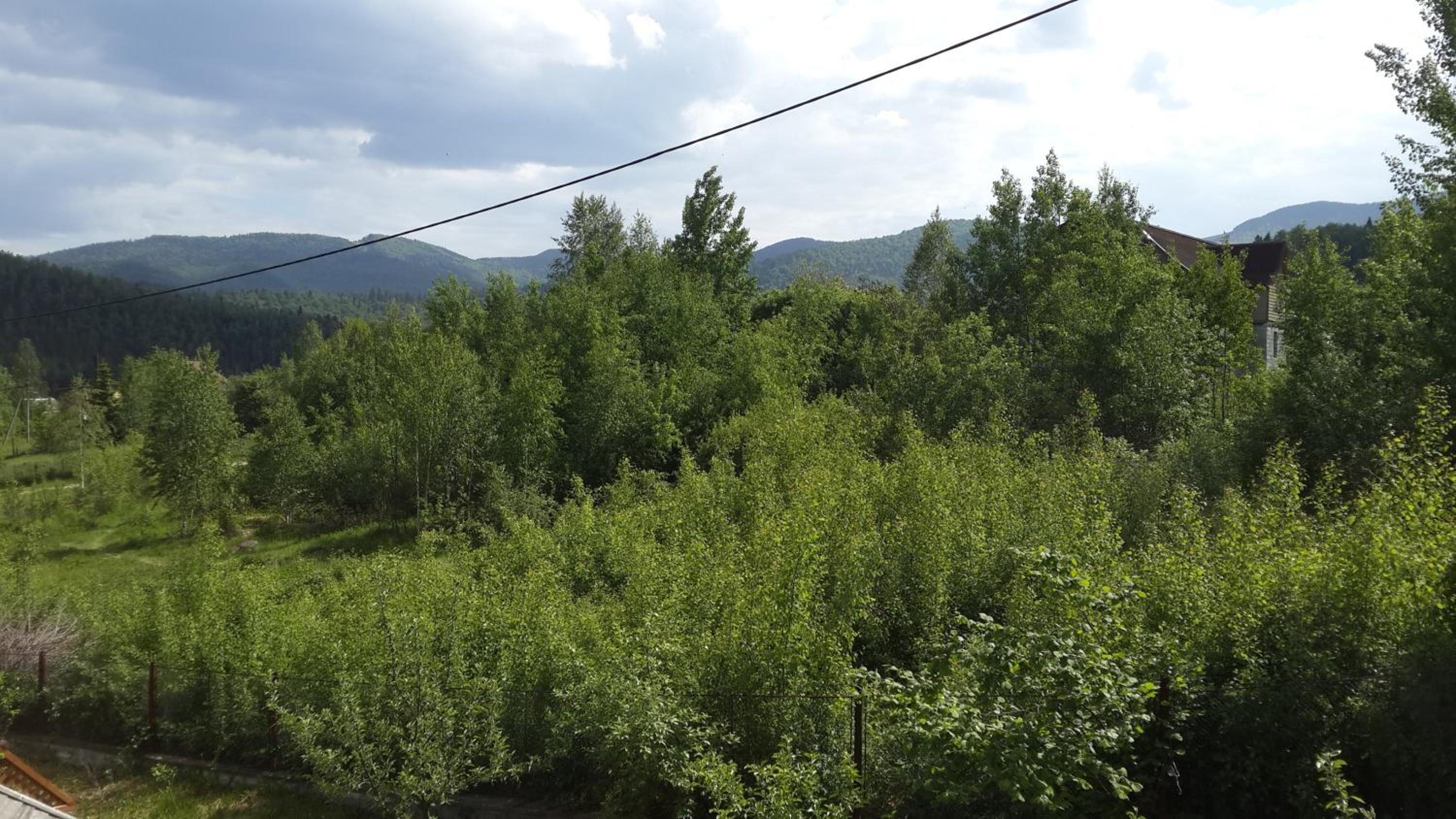 Panorama