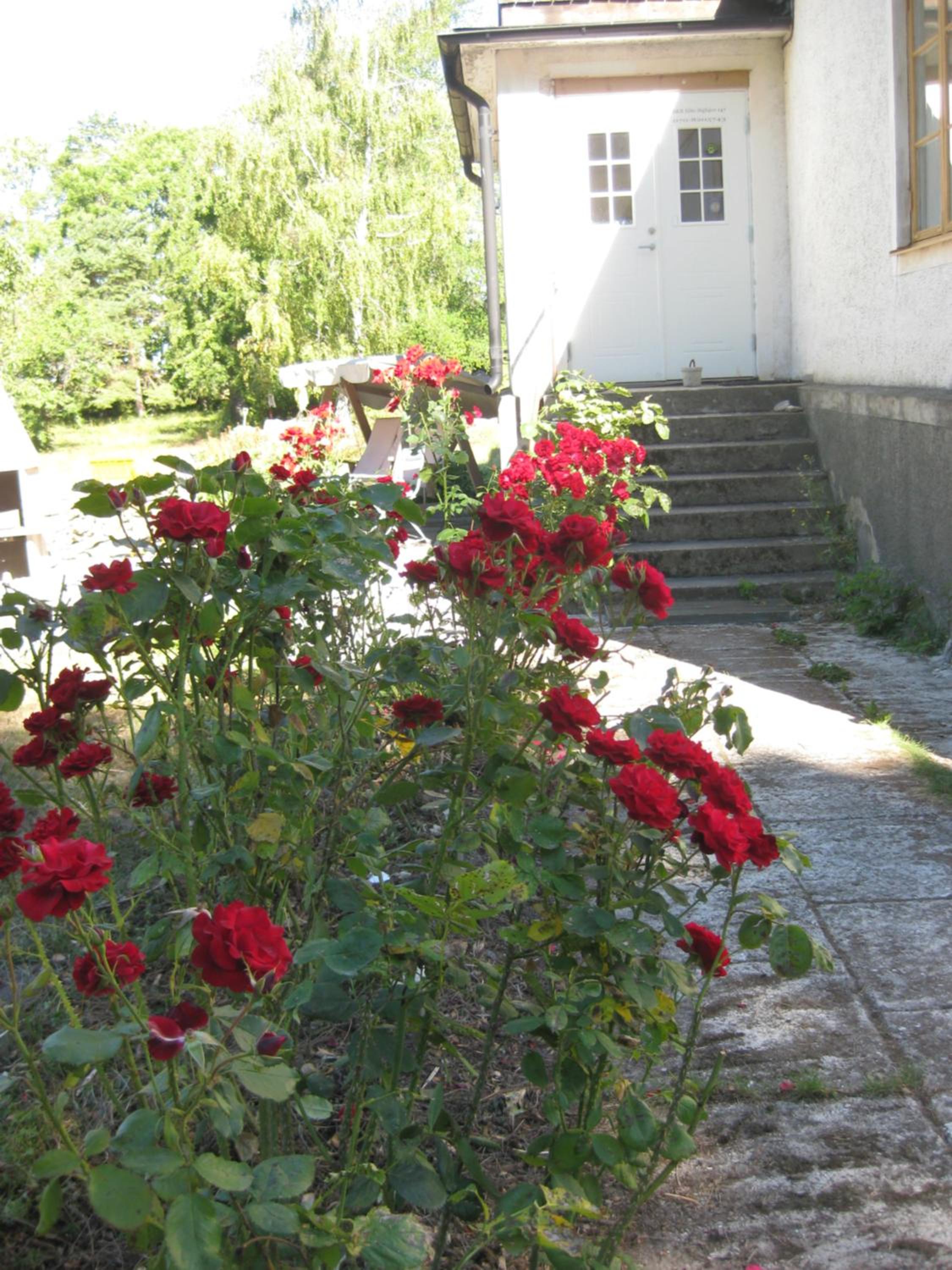 Photo 55