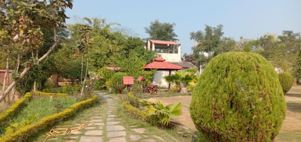 garden