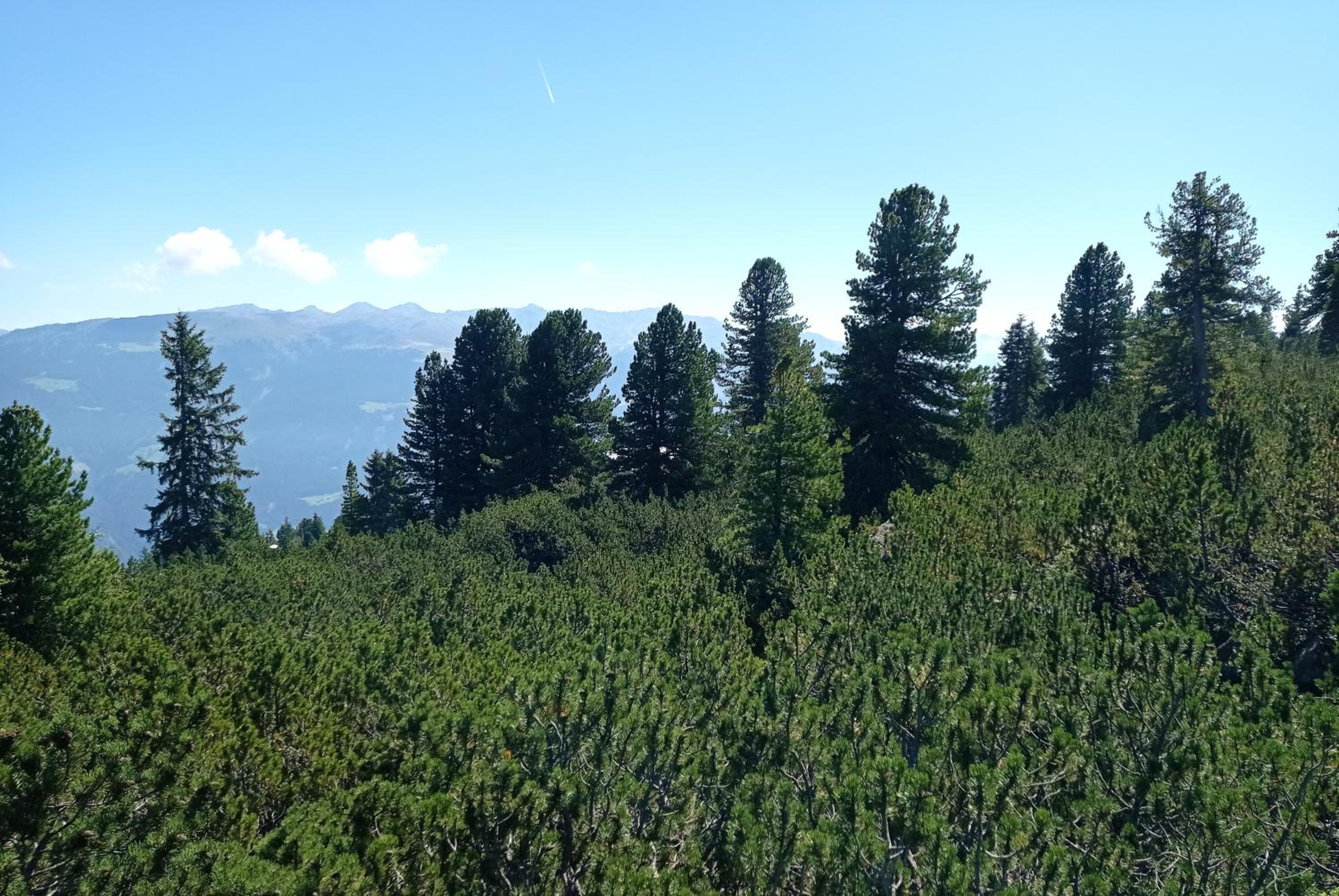 Photo 43