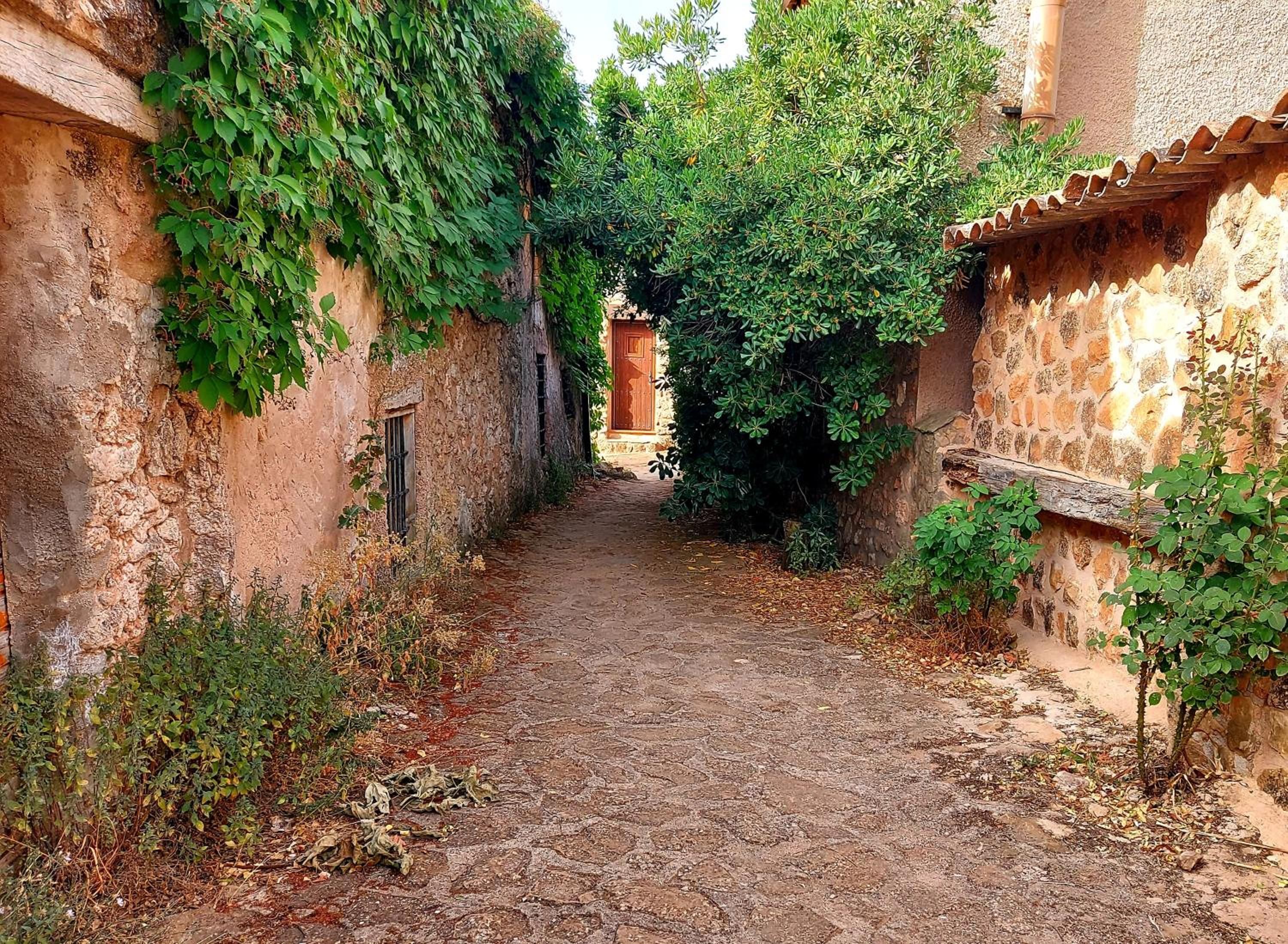 Casa del Águila del Valle view 2