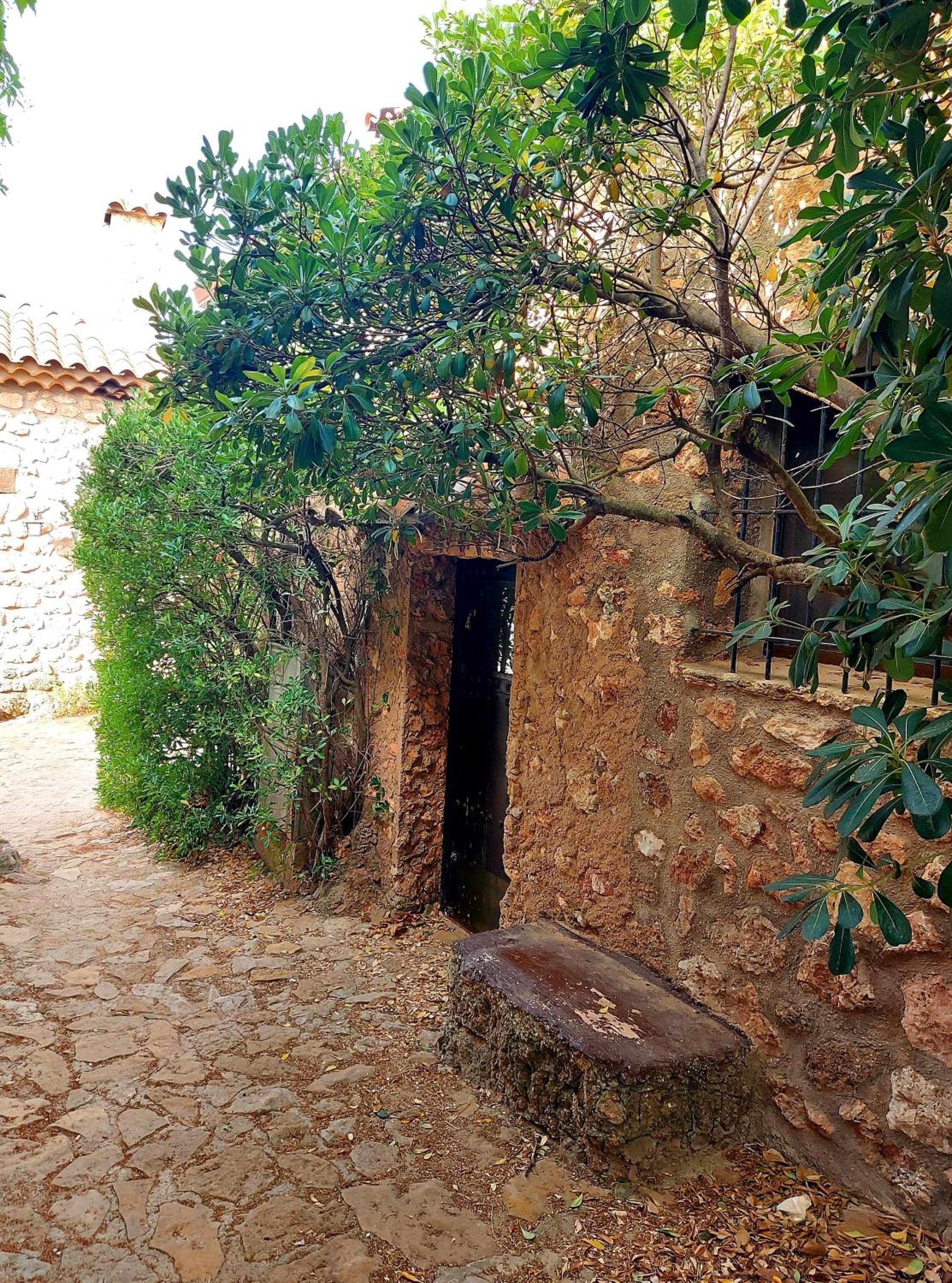 Casa del Águila del Valle view 3