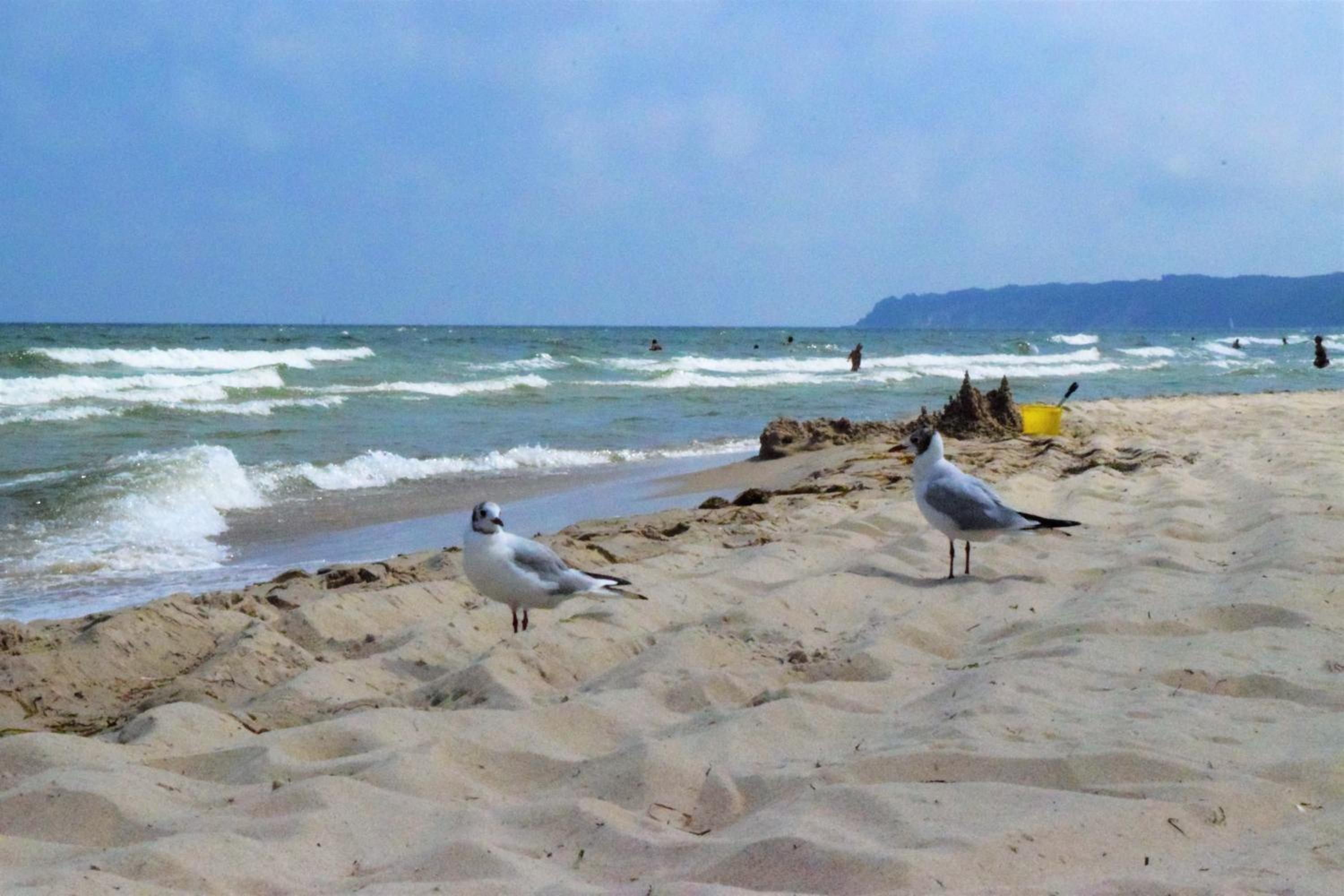 Fewo STRANDPERLE-Fam.Kunkel view 4