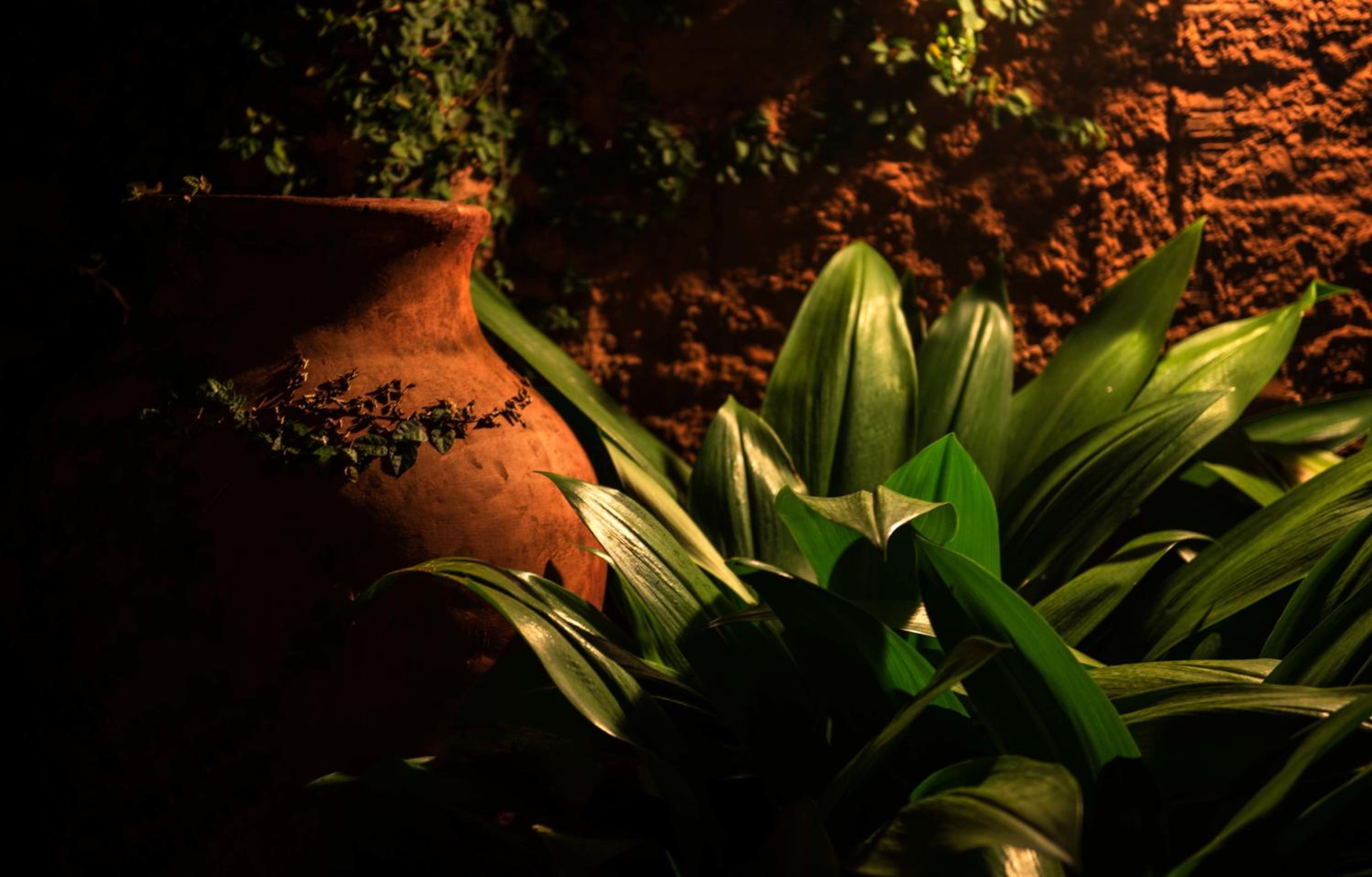 Pousada Oasis