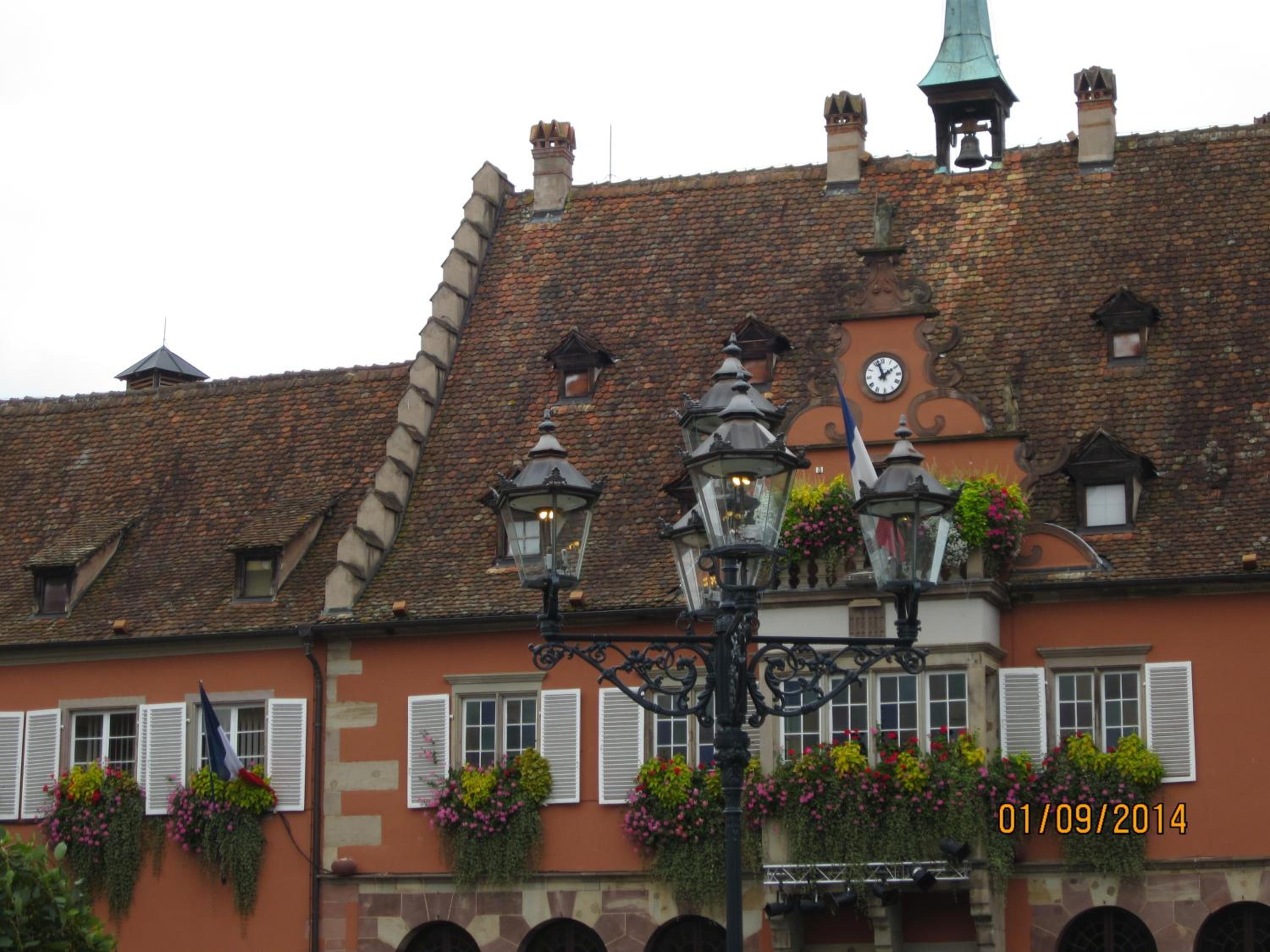 Photo 46