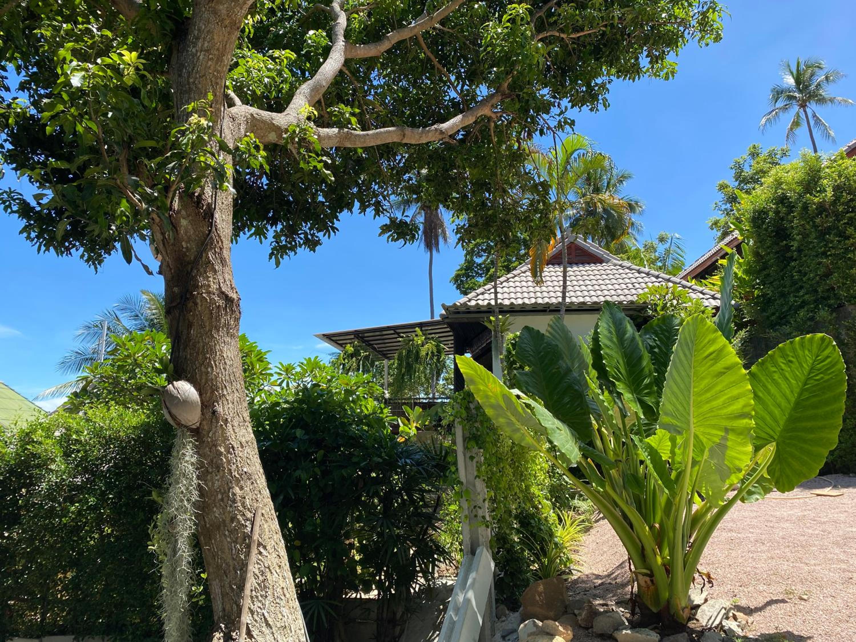 Reggae Garden Villas