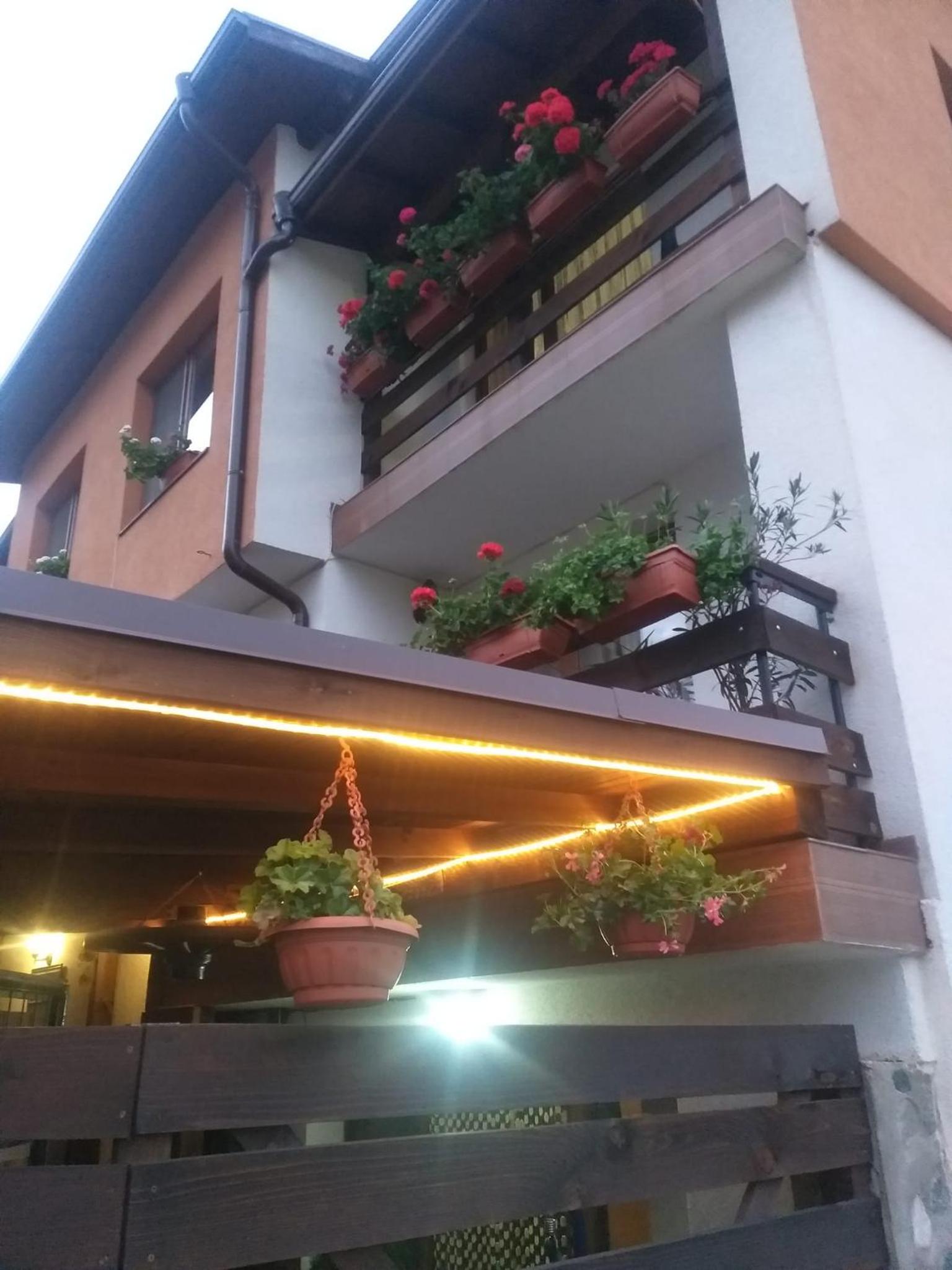 Guest House Markovi