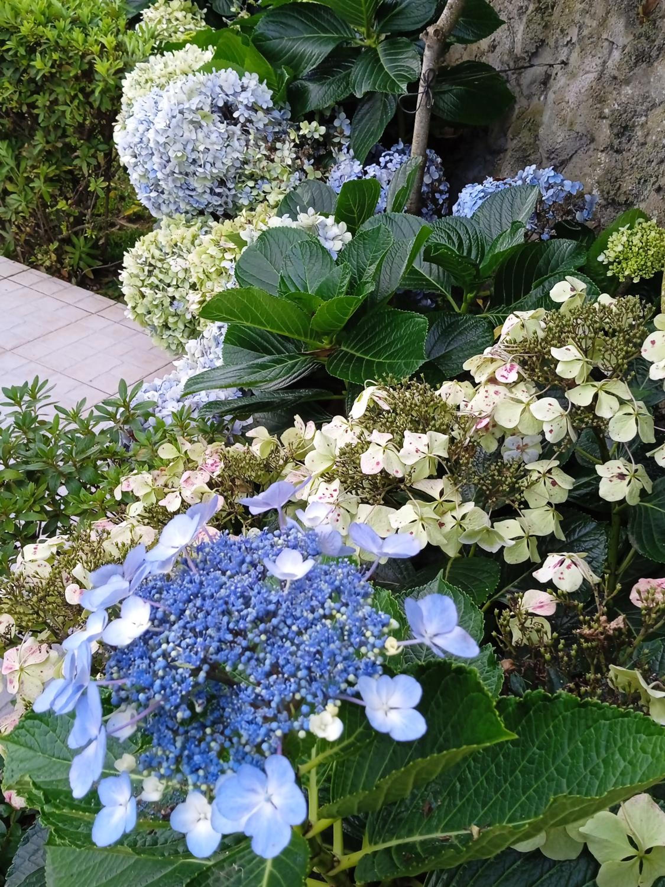 other