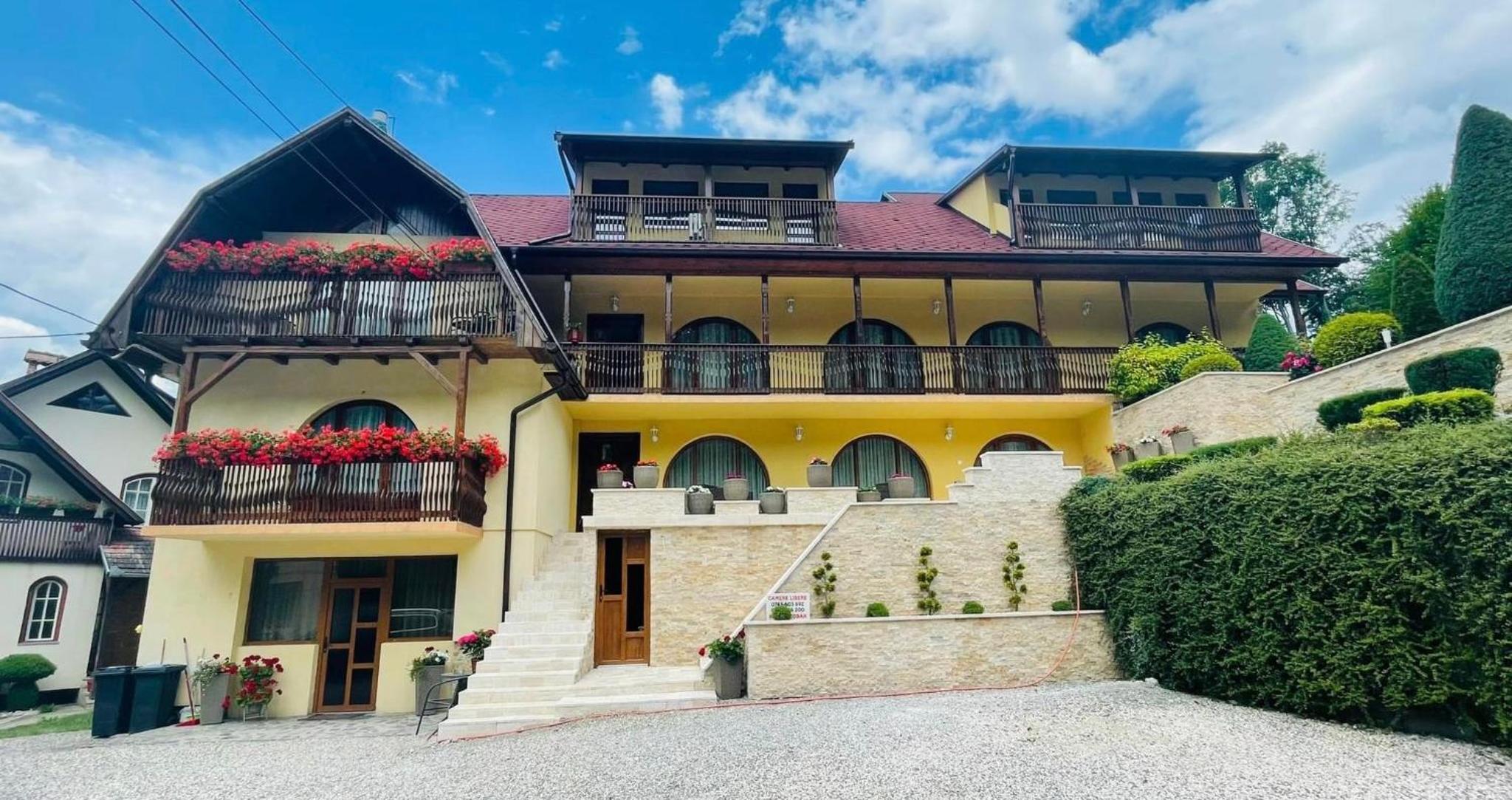 Hotel Pensiunea Aby - Image 1