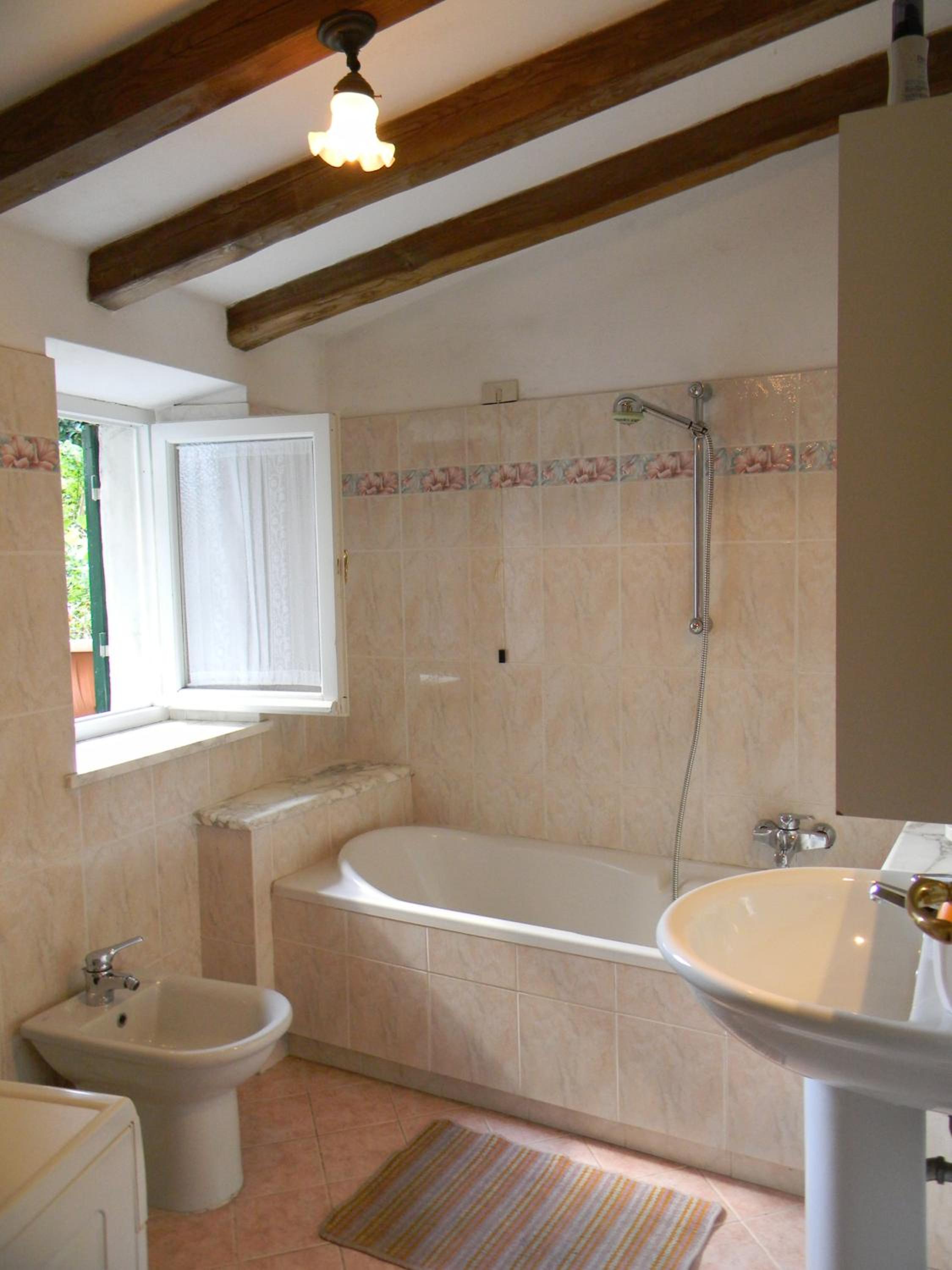 Casa David