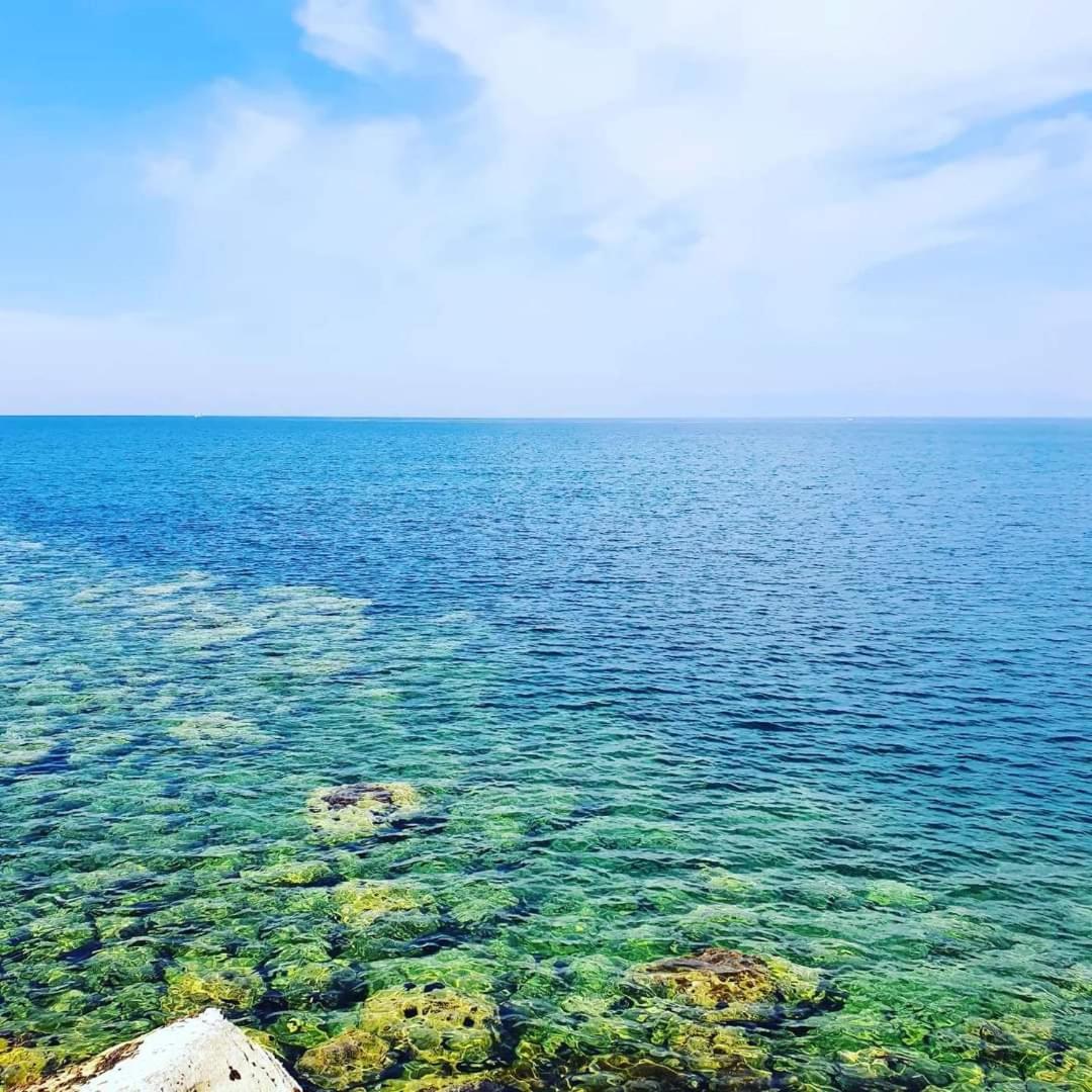 Monolocale "Raja" photo 5