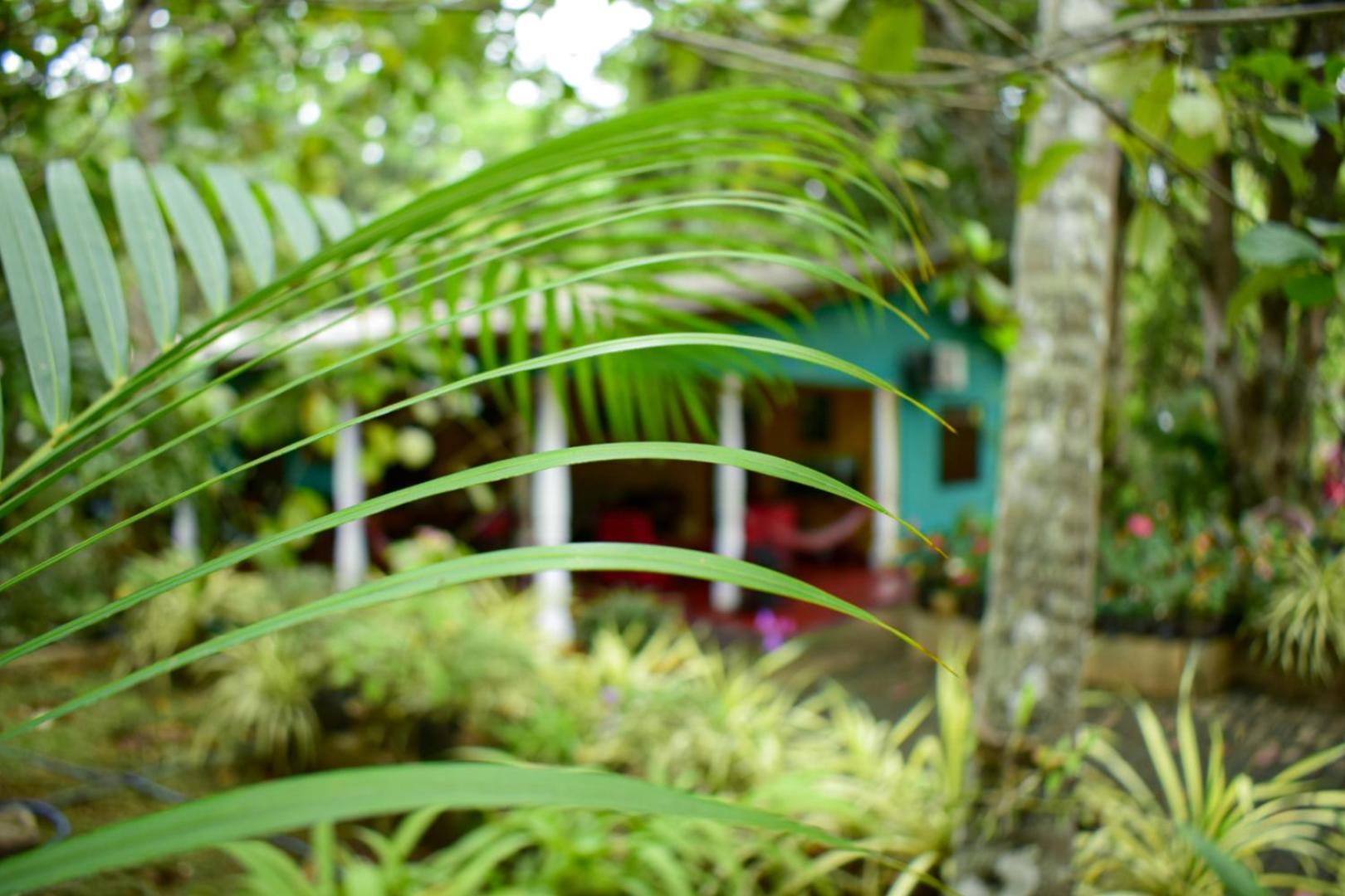 Palitha Homestay